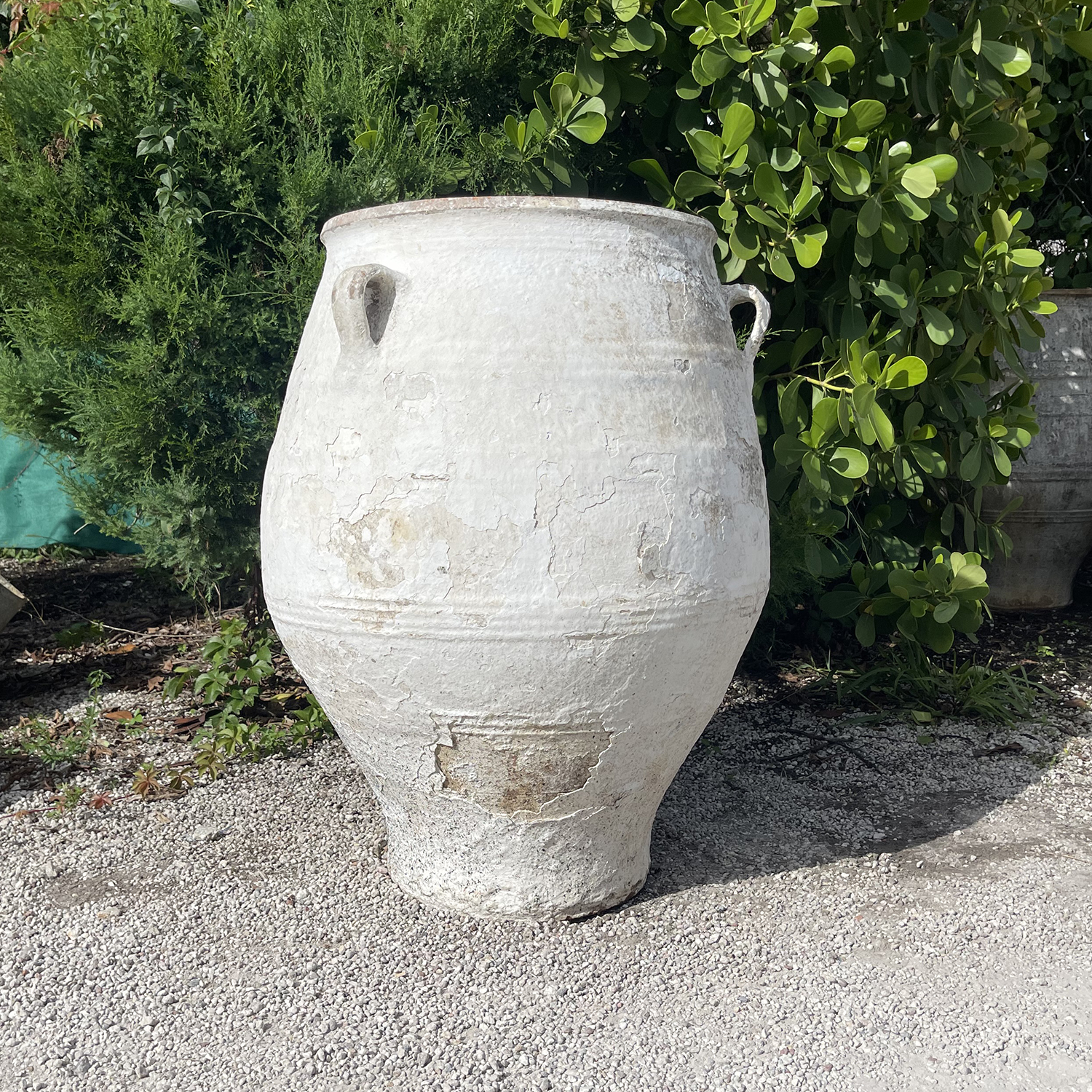 Large antique 19th Terracotta White Washed Olive Jar, Greece