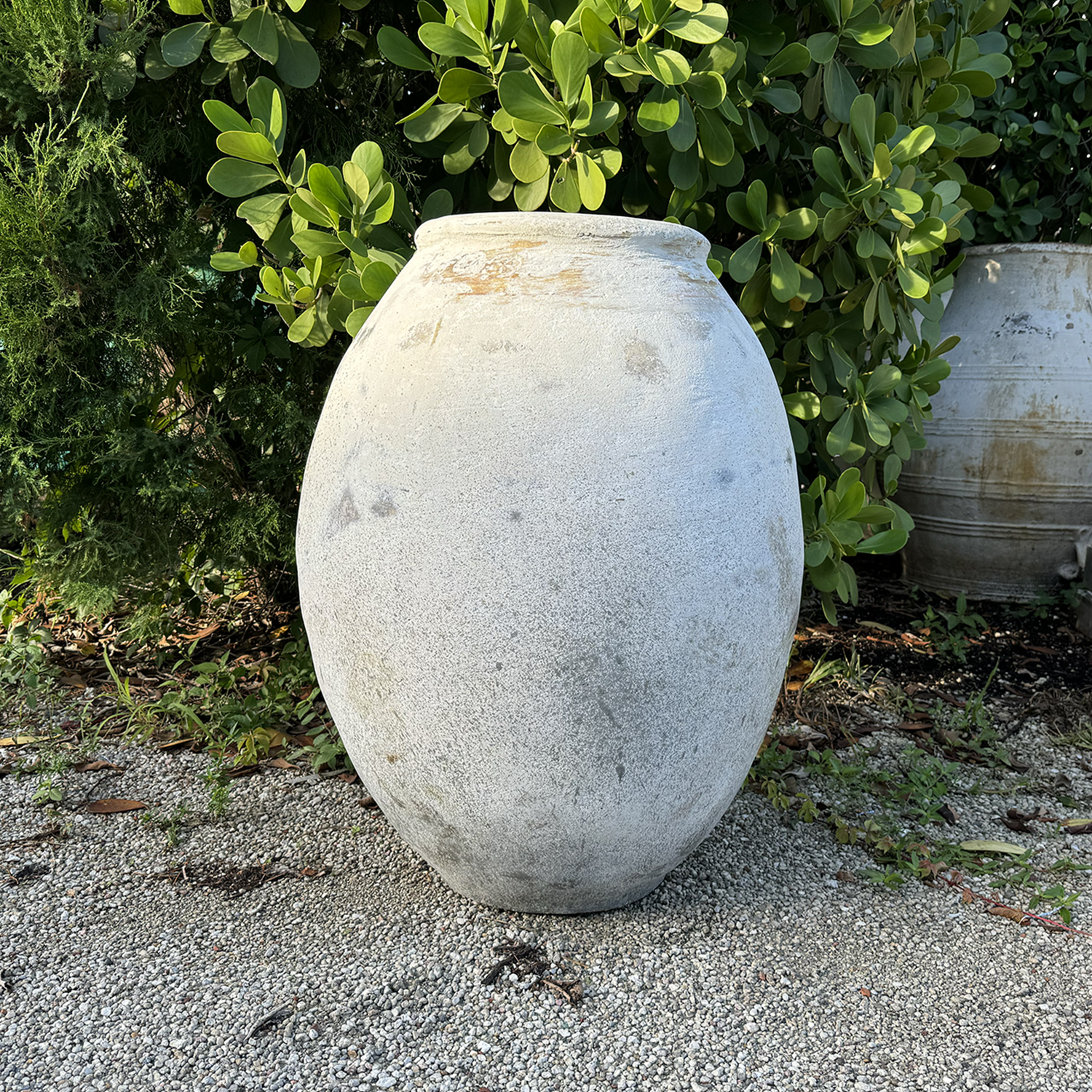 19th Century White Washed Olive Jar