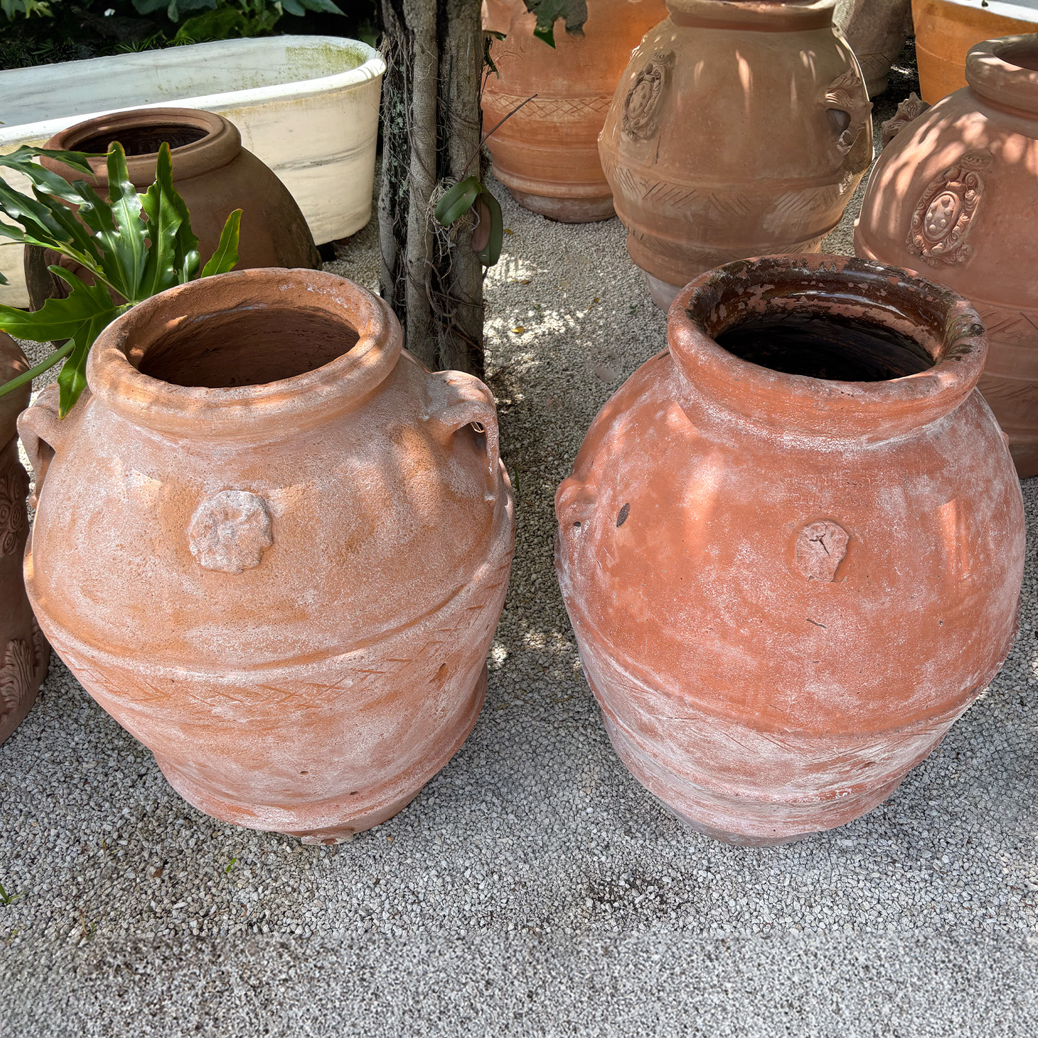 Authentic Provence