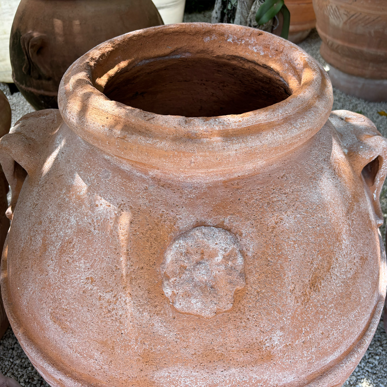 Authentic Provence