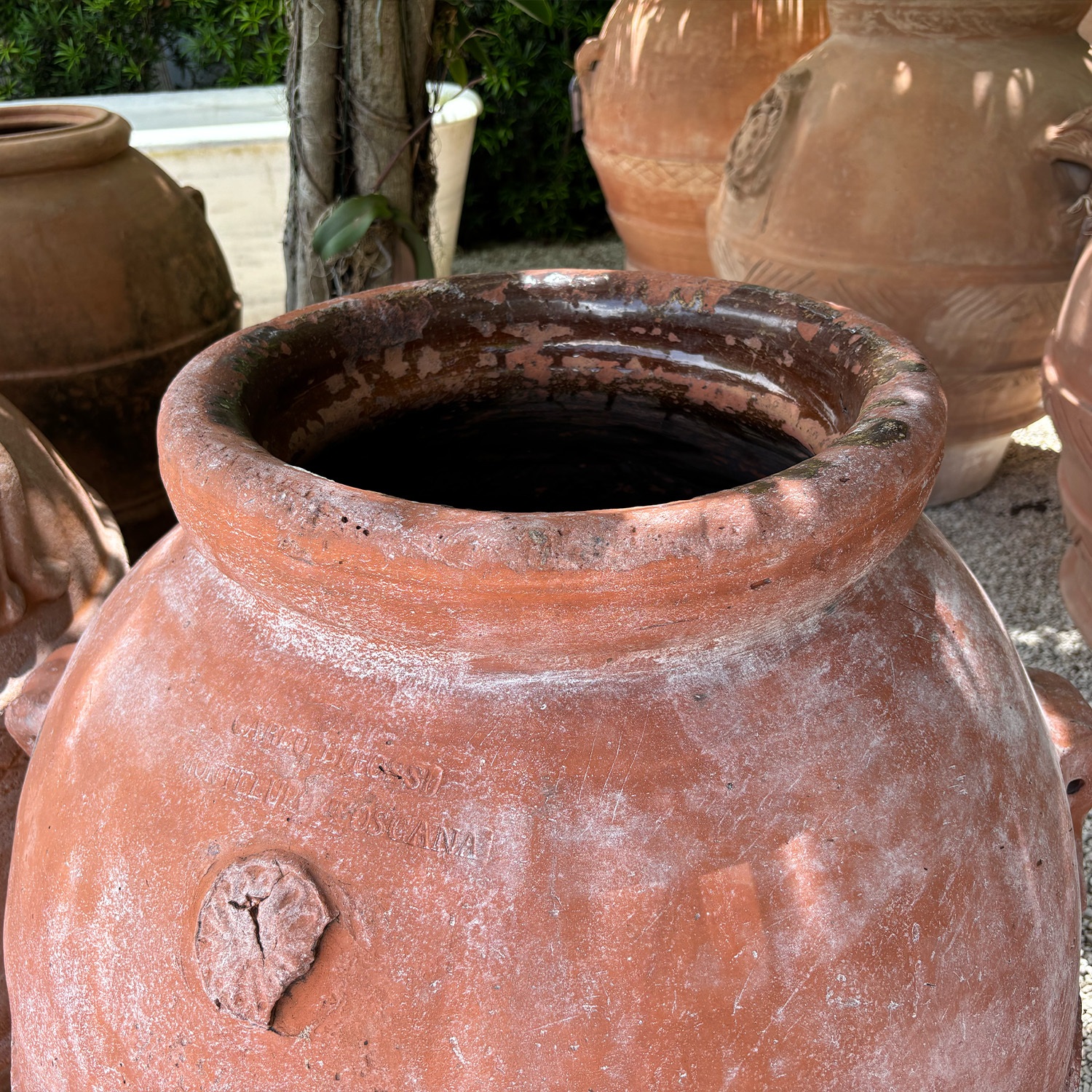 Authentic Provence