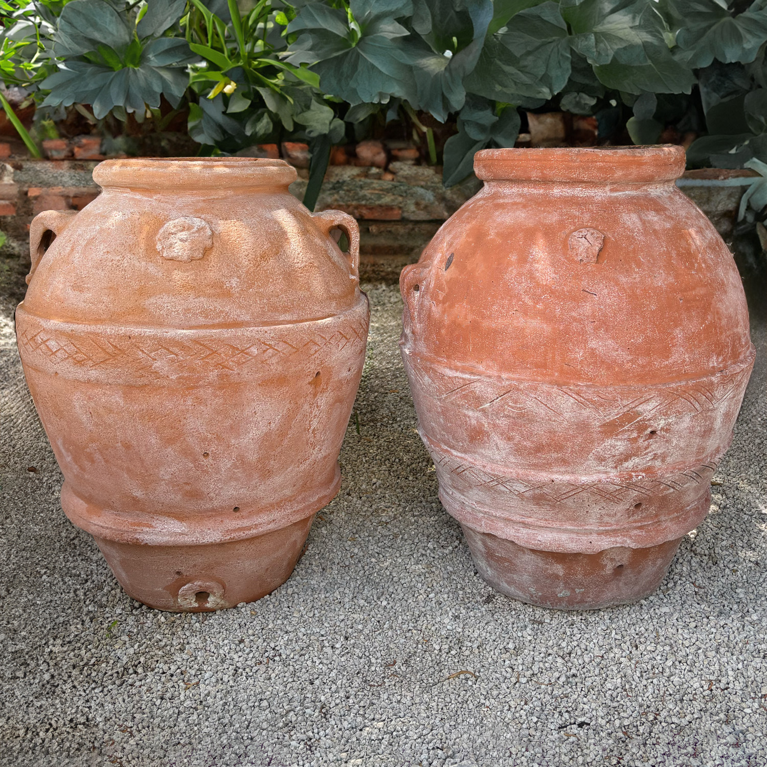 Pair of Large Tuscan Jars
