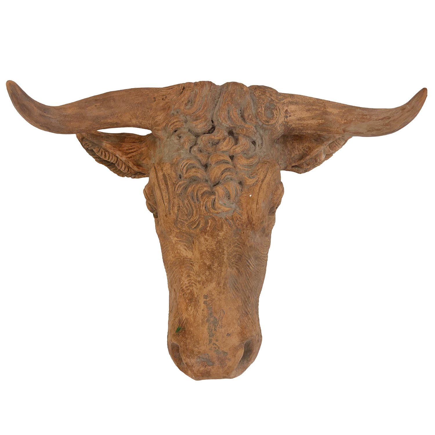 Wall Mount Bull Head in Terra Cotta from France, 20th Century