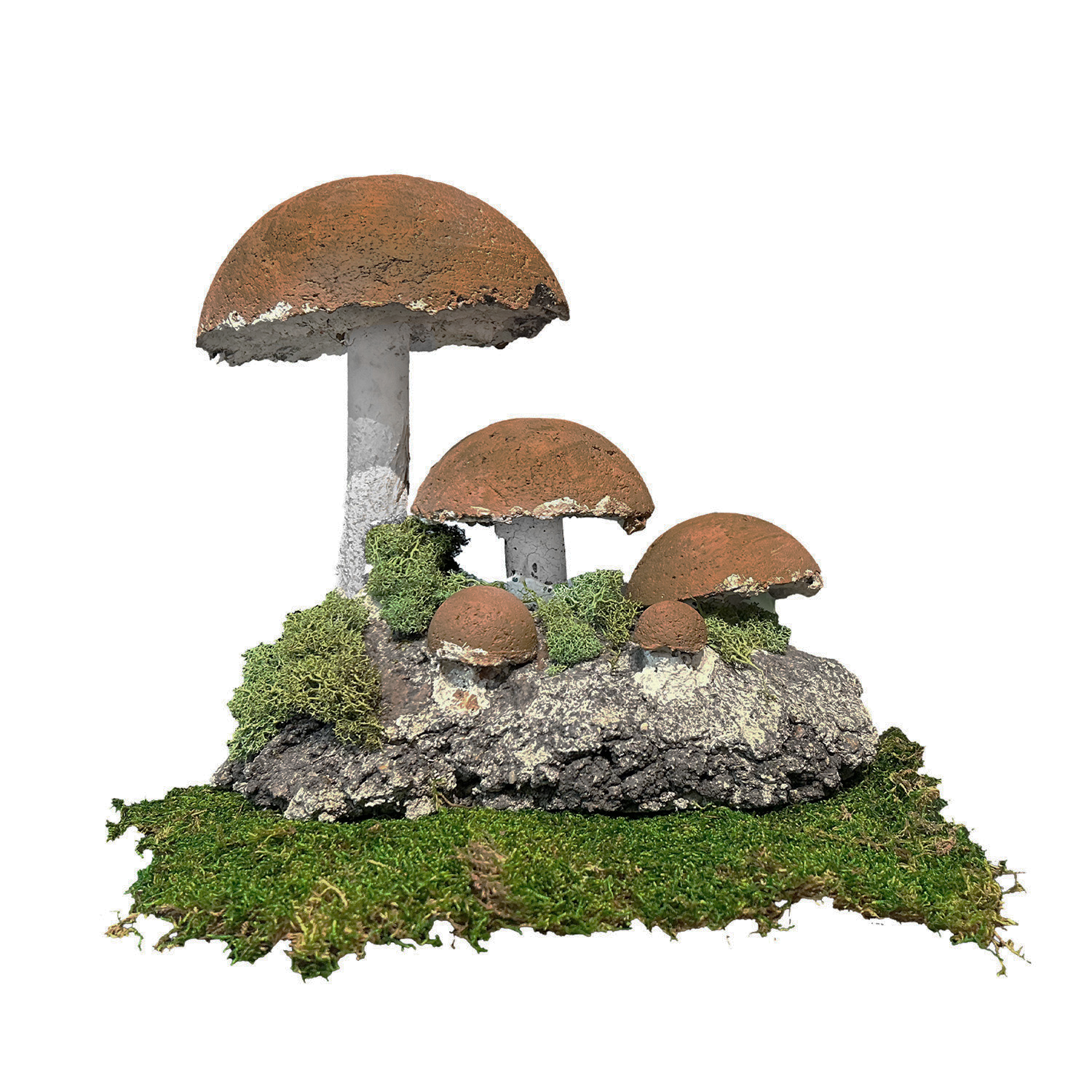 A French 1950s Botanical Scientific Specimen of a Red Amanita Fungi in Cement