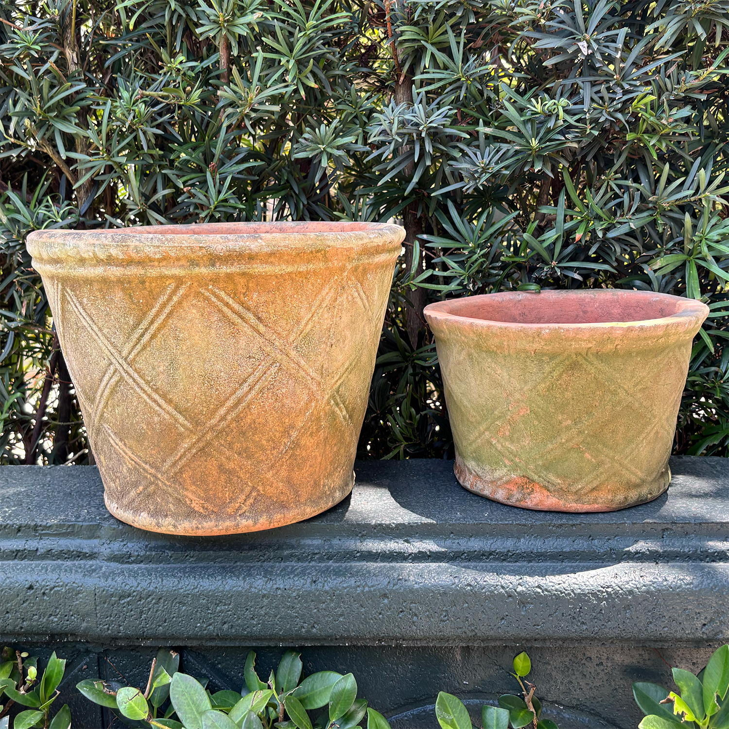 Aged Equi Planters