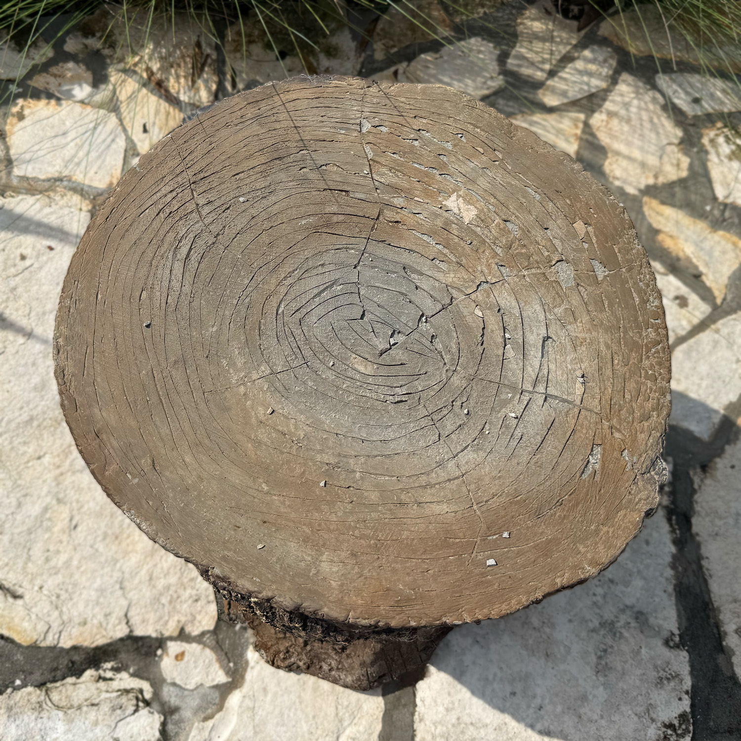 Authentic Provence