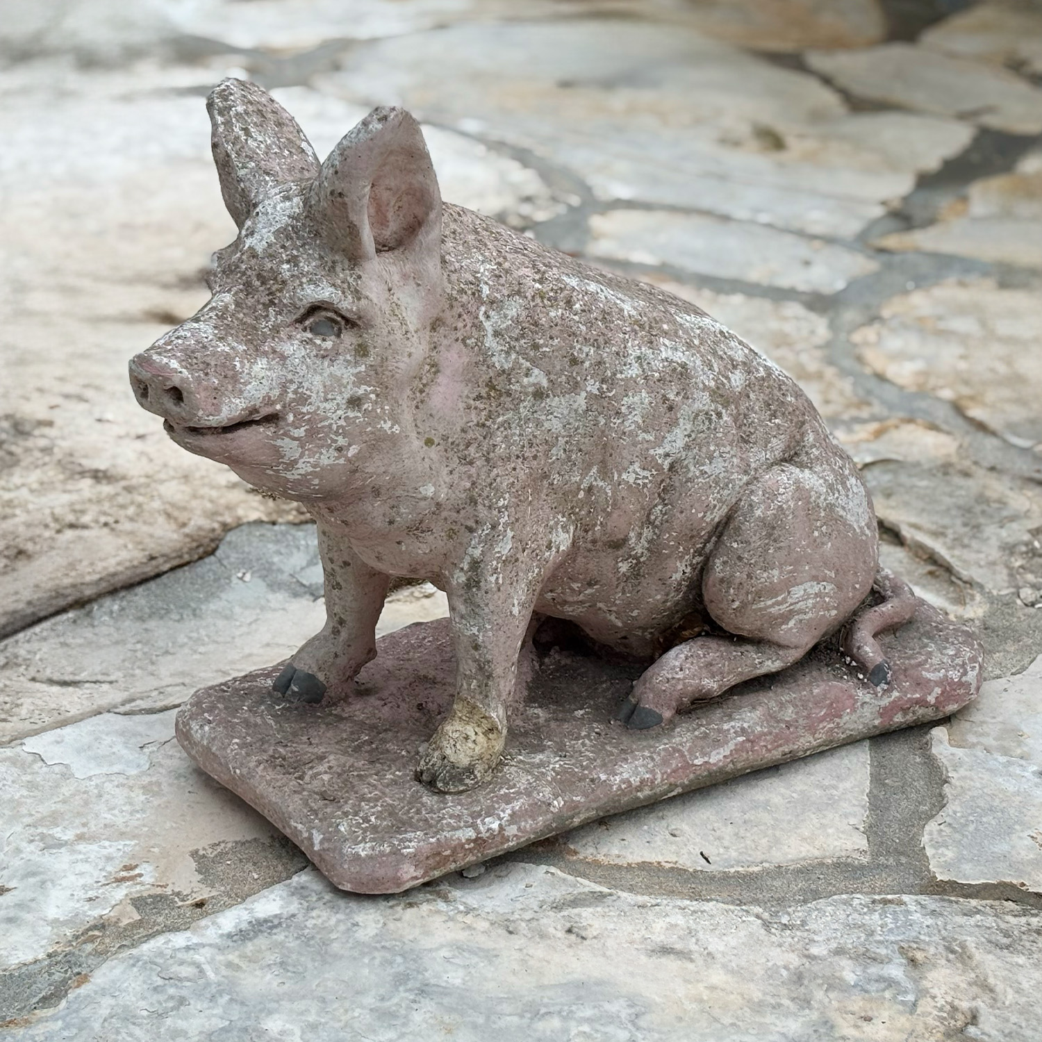 Authentic Provence