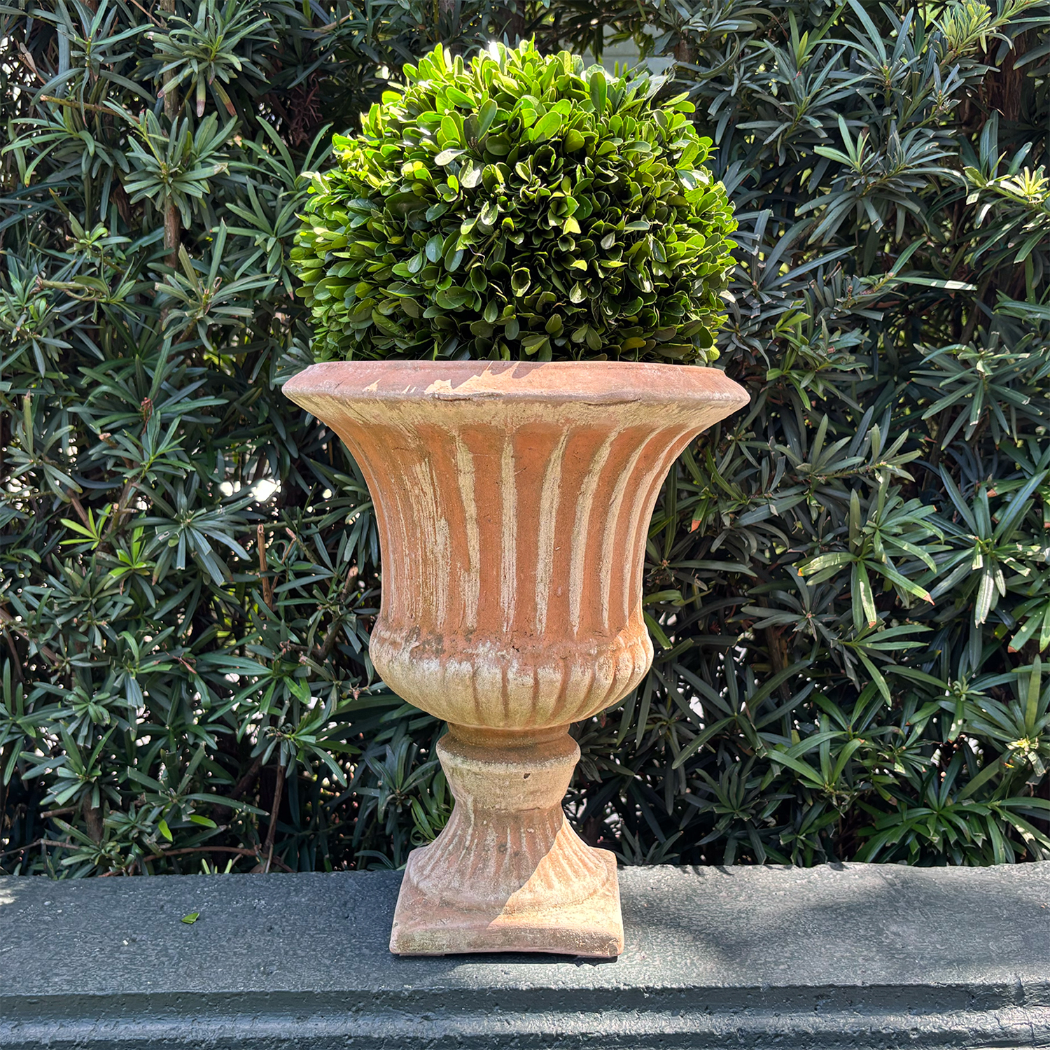 Urns Pair