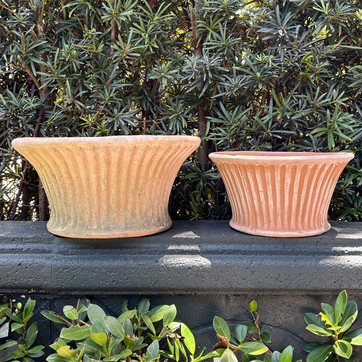 Short Aged Striato Planters