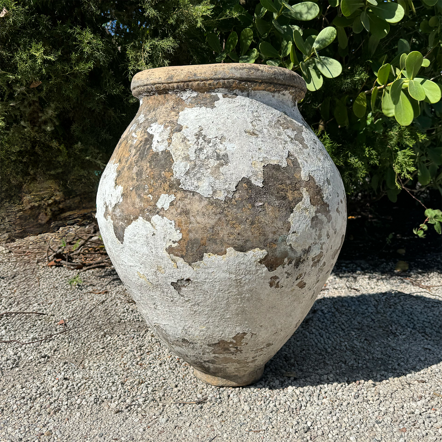 Authentic Provence