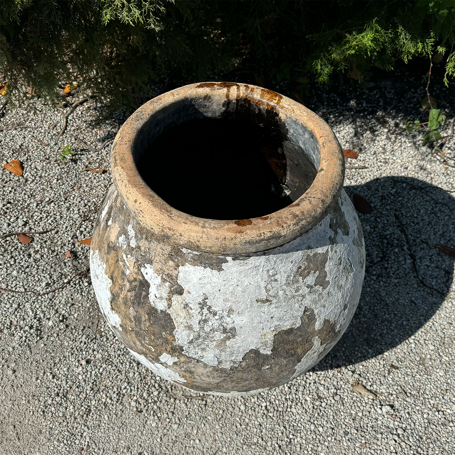 Authentic Provence