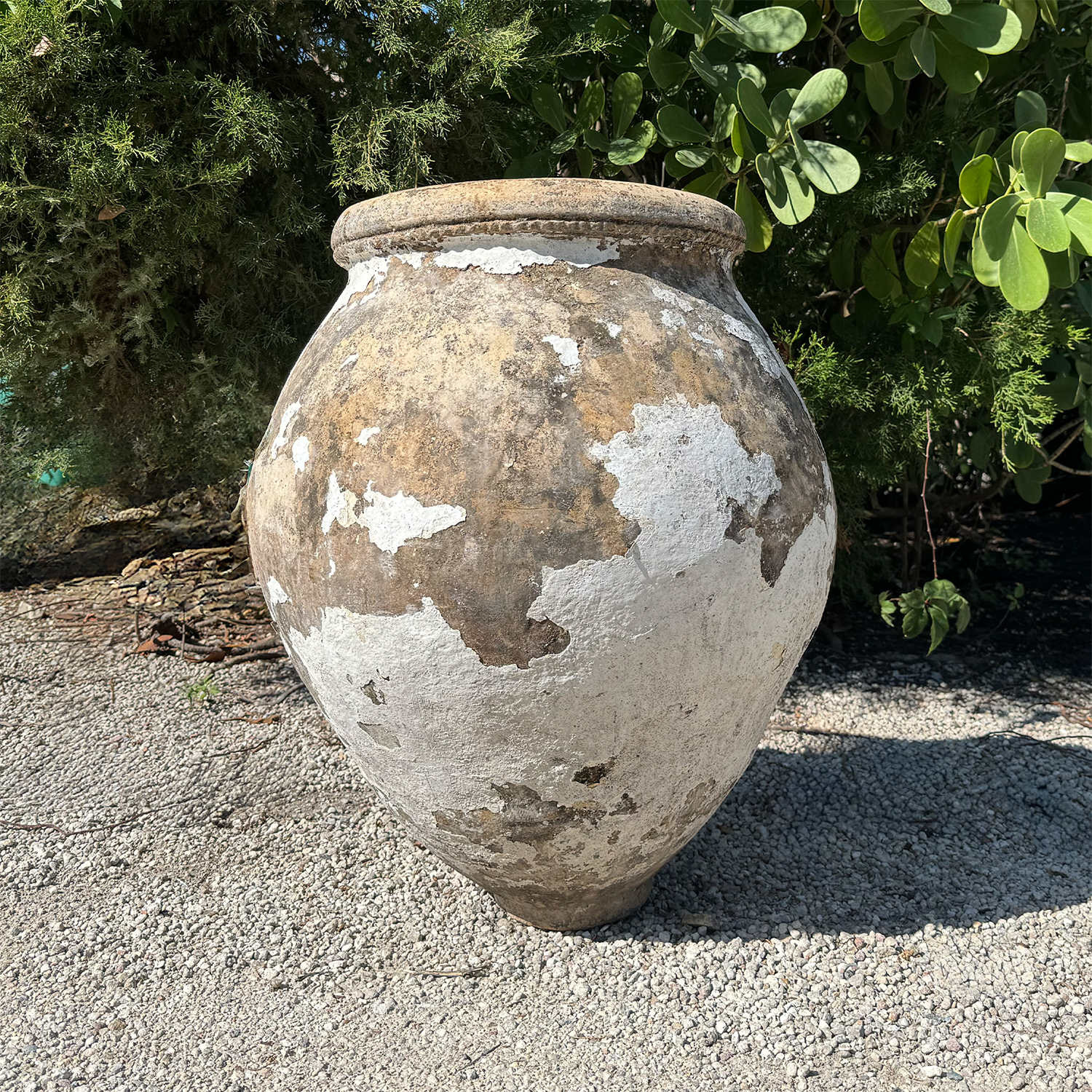 Authentic Provence