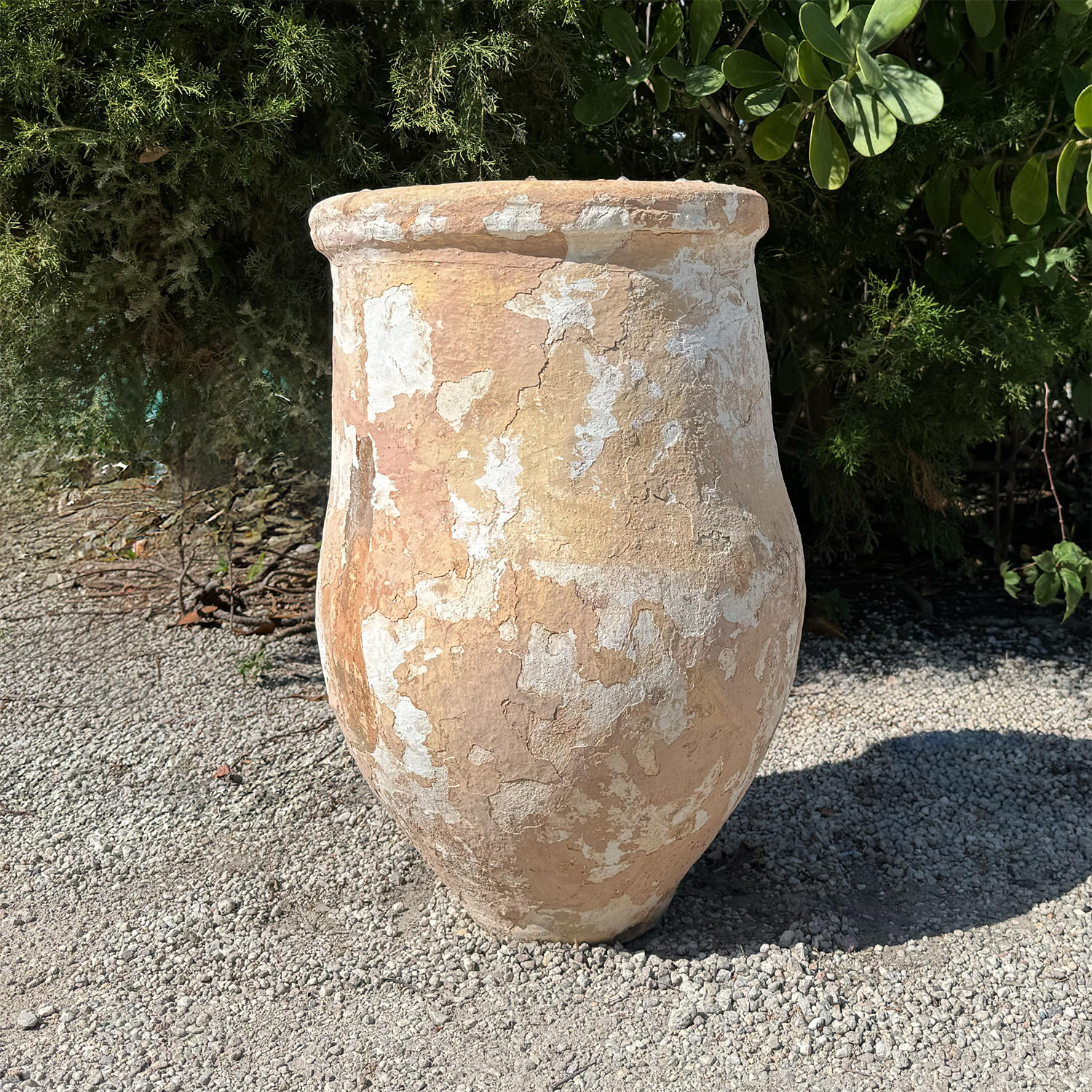 Authentic Provence