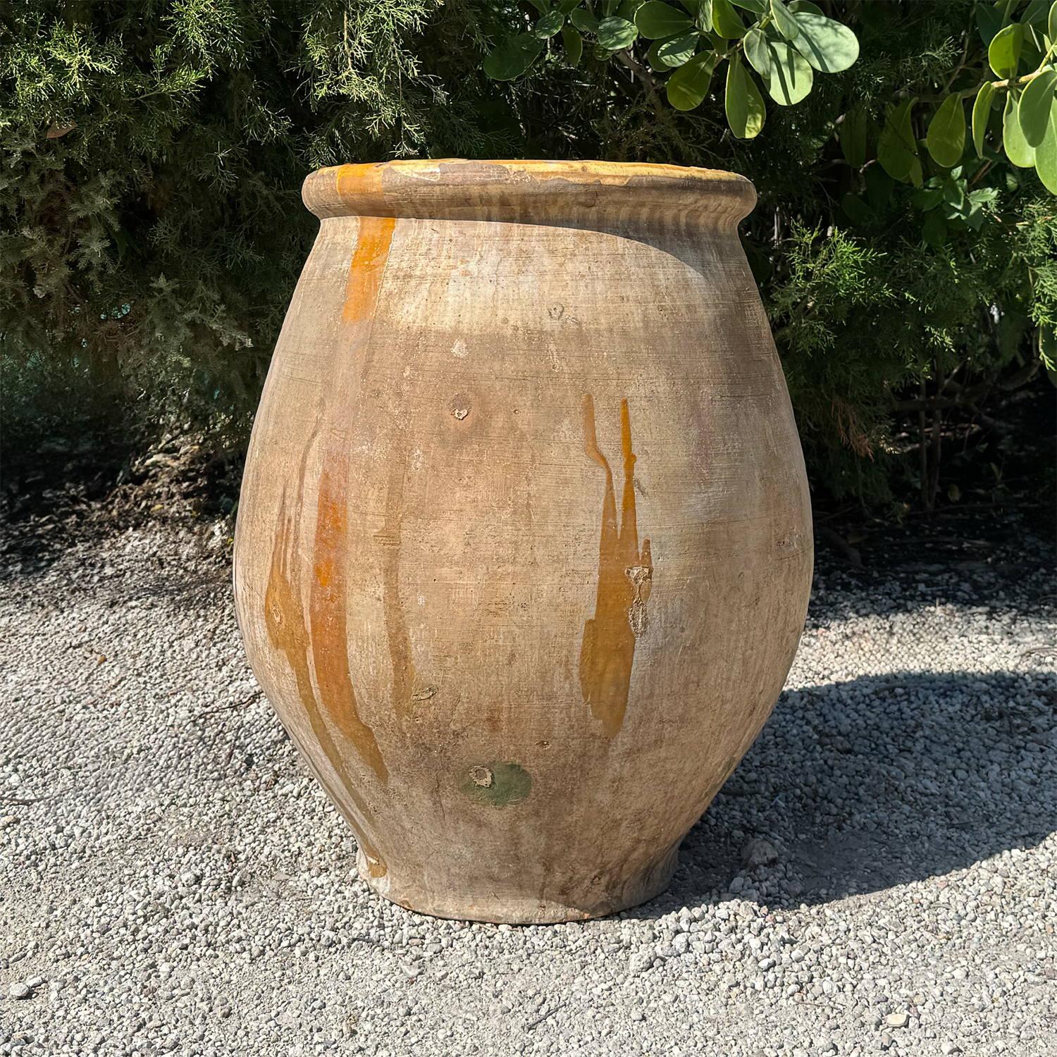 Authentic Provence