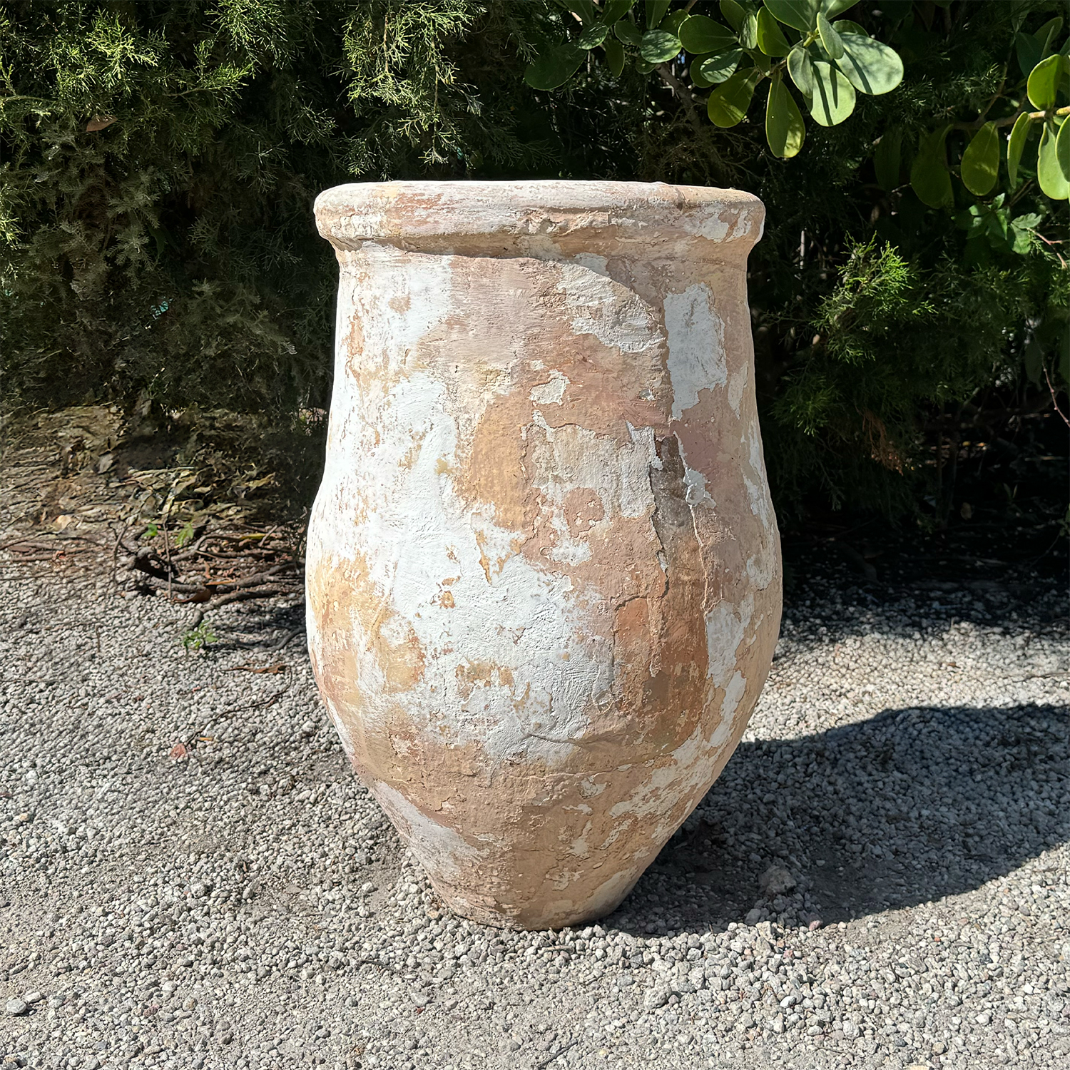 Authentic Provence