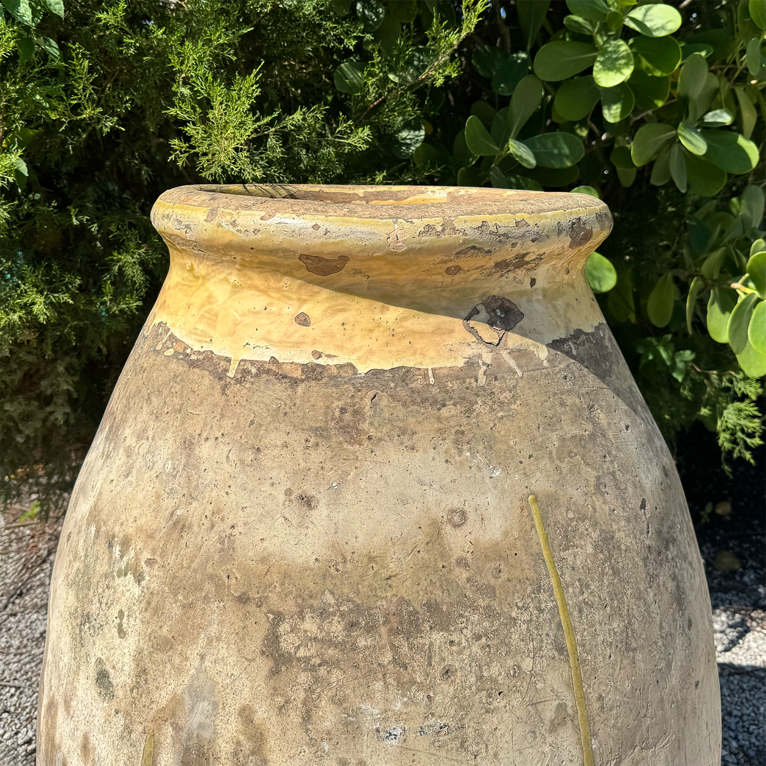 Authentic Provence