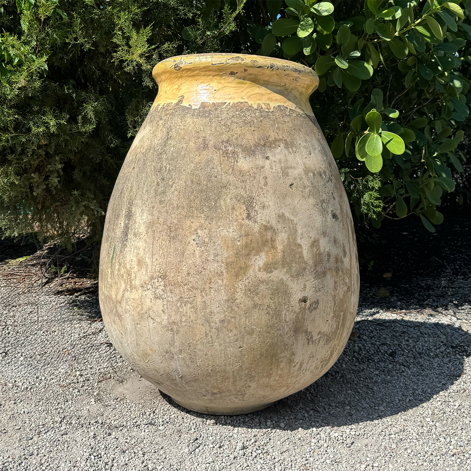 Authentic Provence
