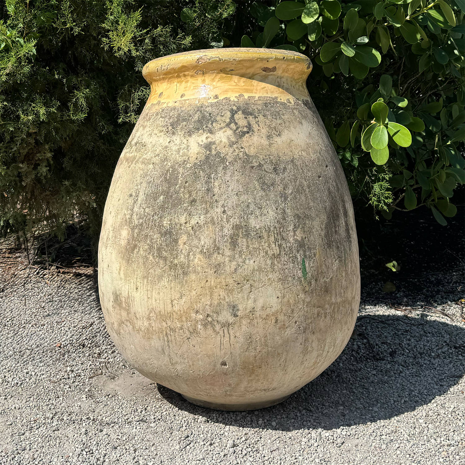 Authentic Provence