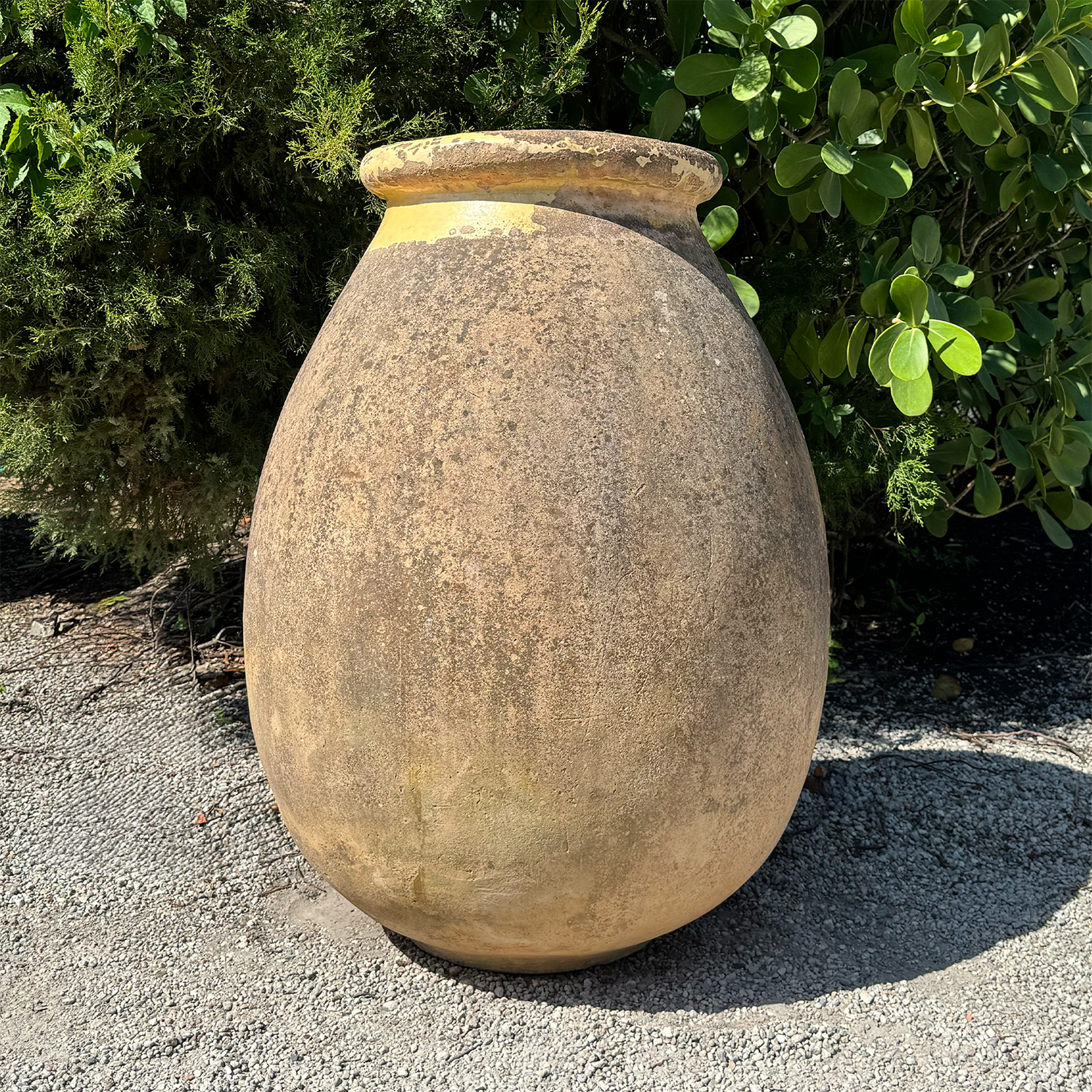 Authentic Provence