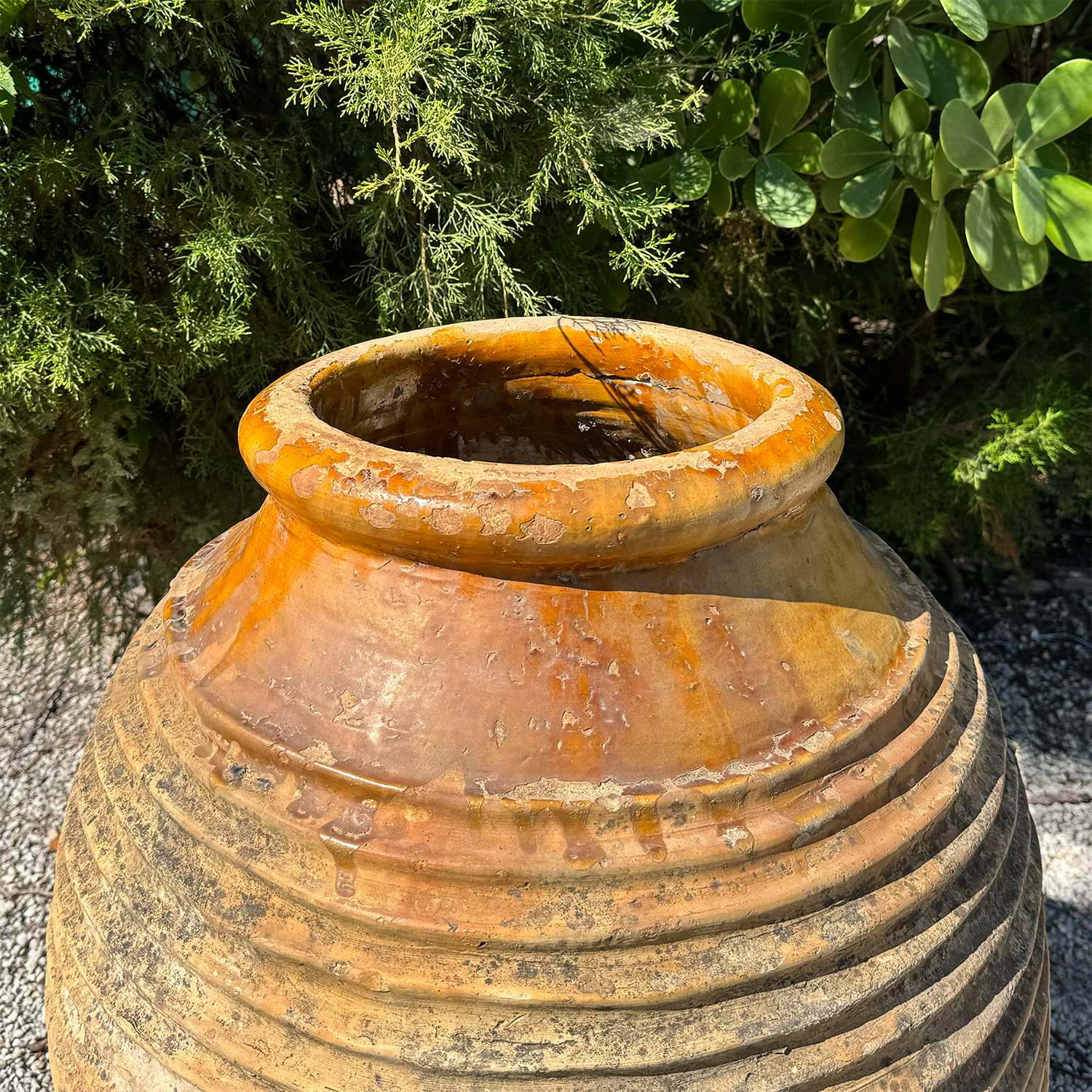 Authentic Provence