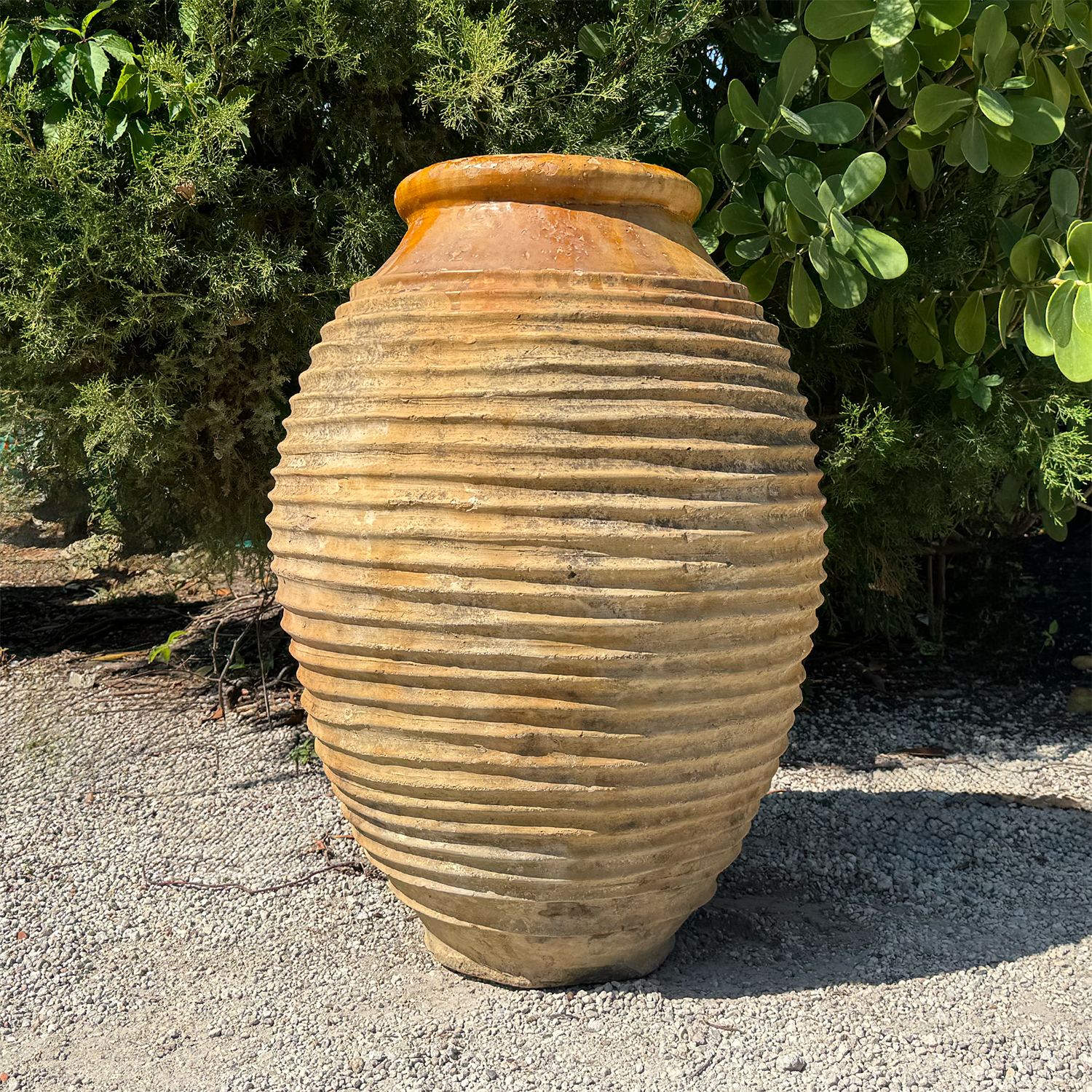 Authentic Provence
