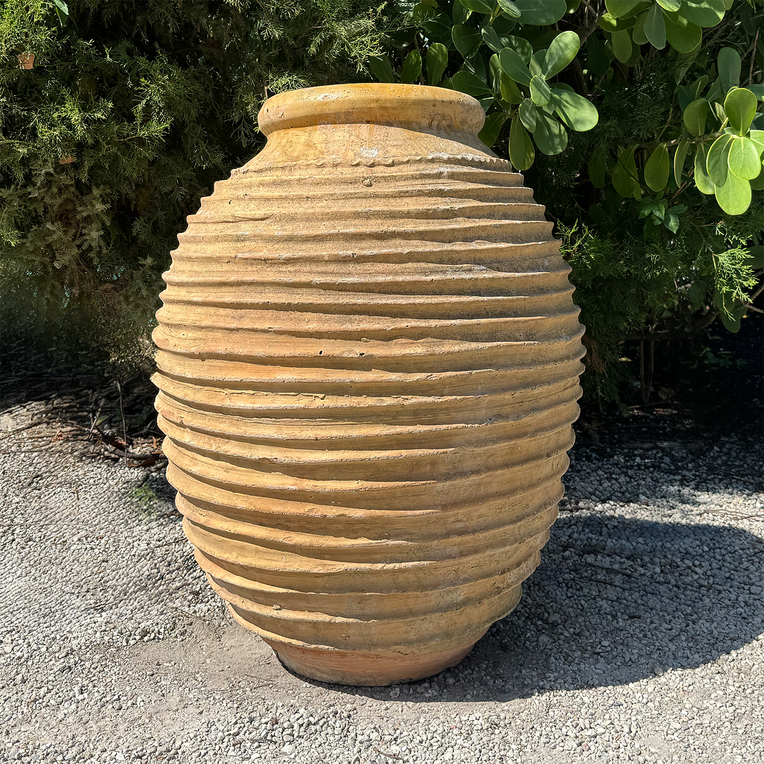 Authentic Provence