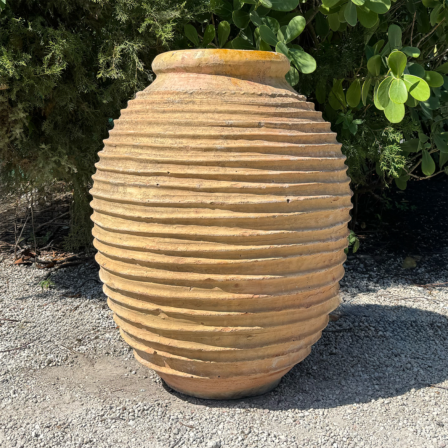 Authentic Provence