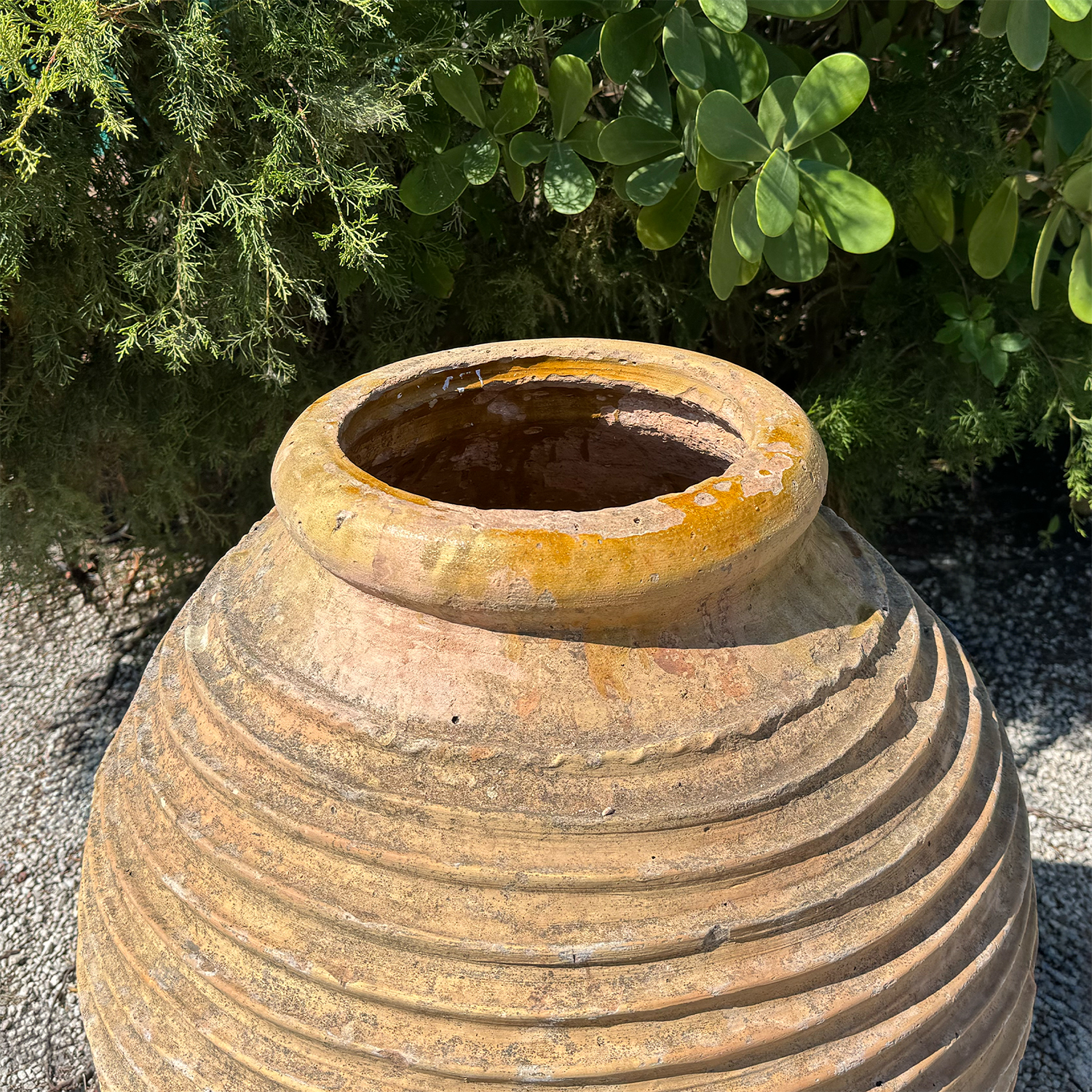 Authentic Provence