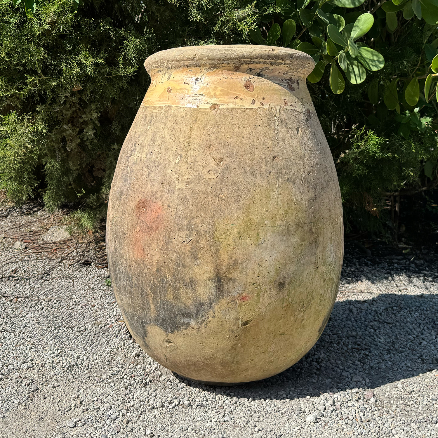Authentic Provence