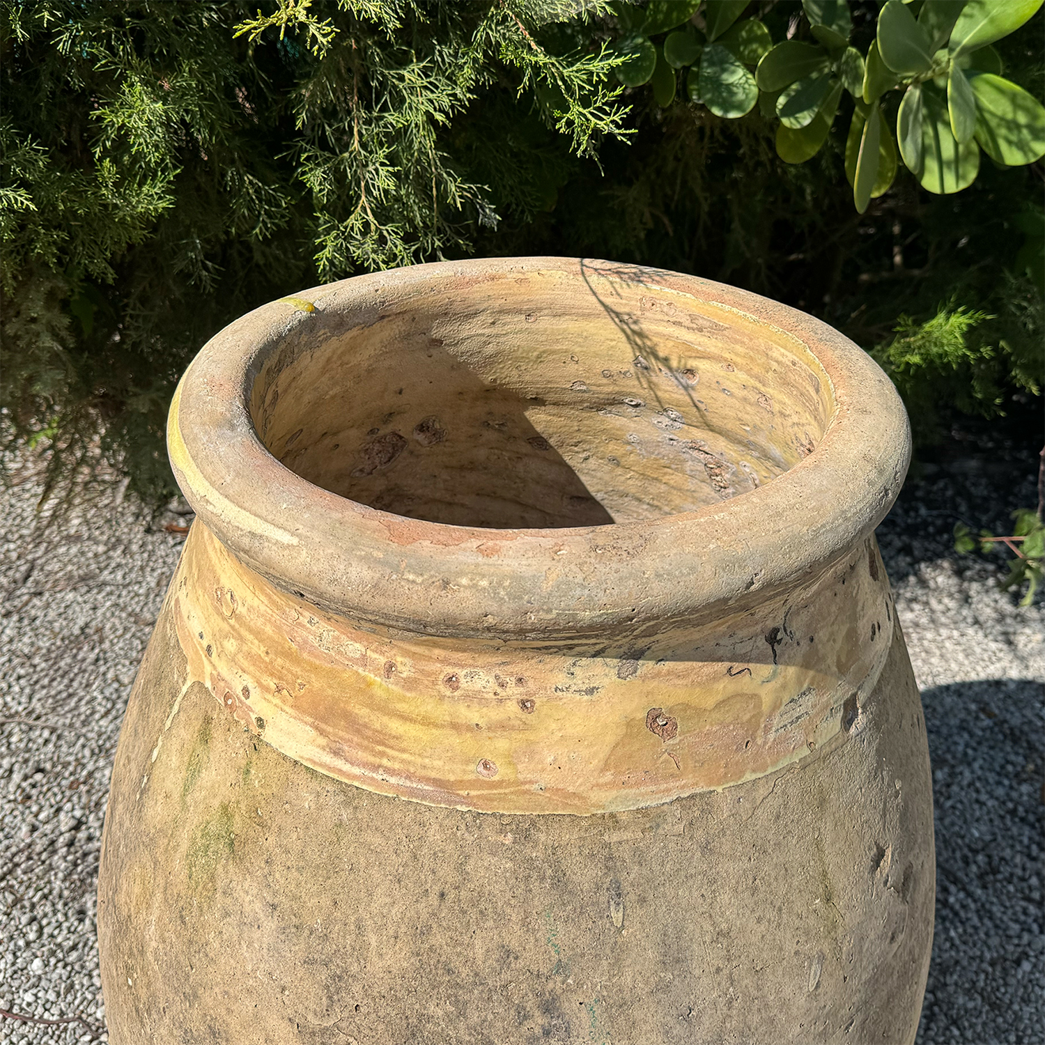 Authentic Provence