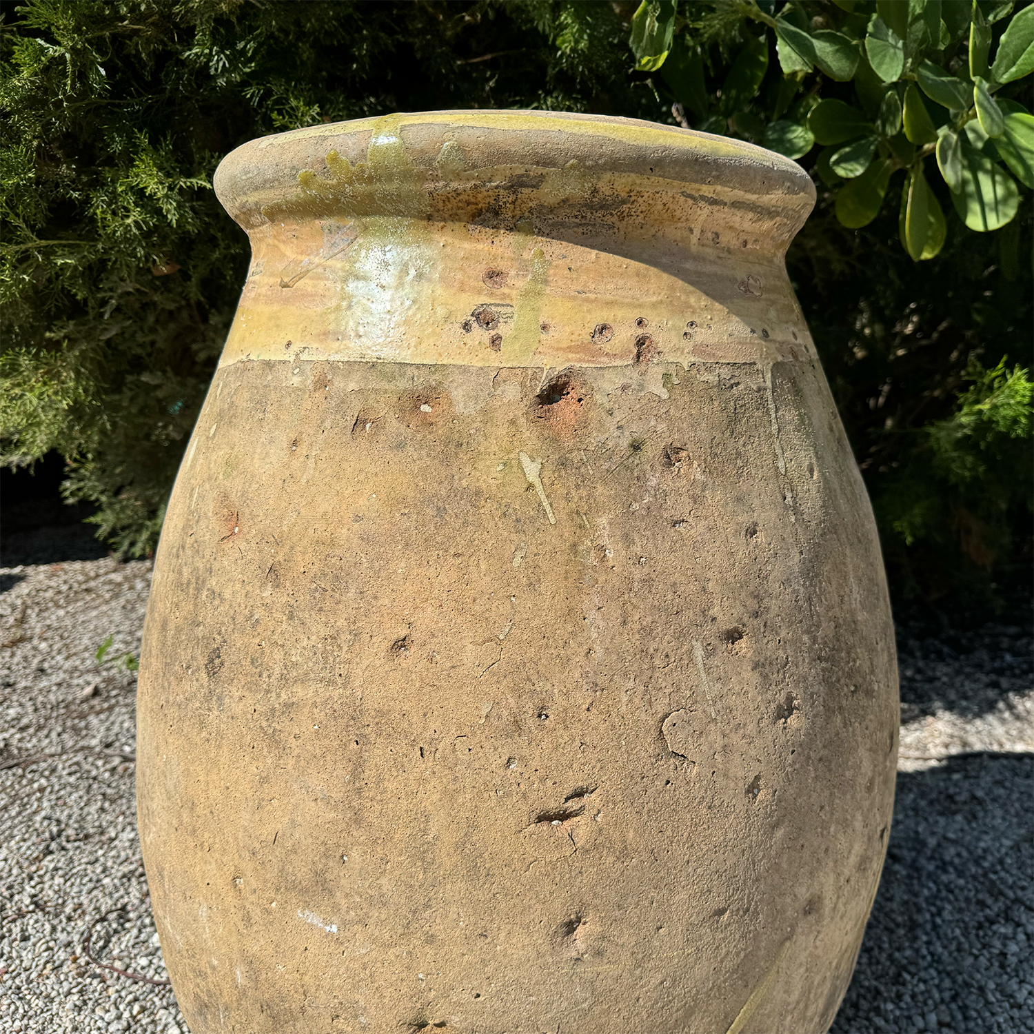 Authentic Provence