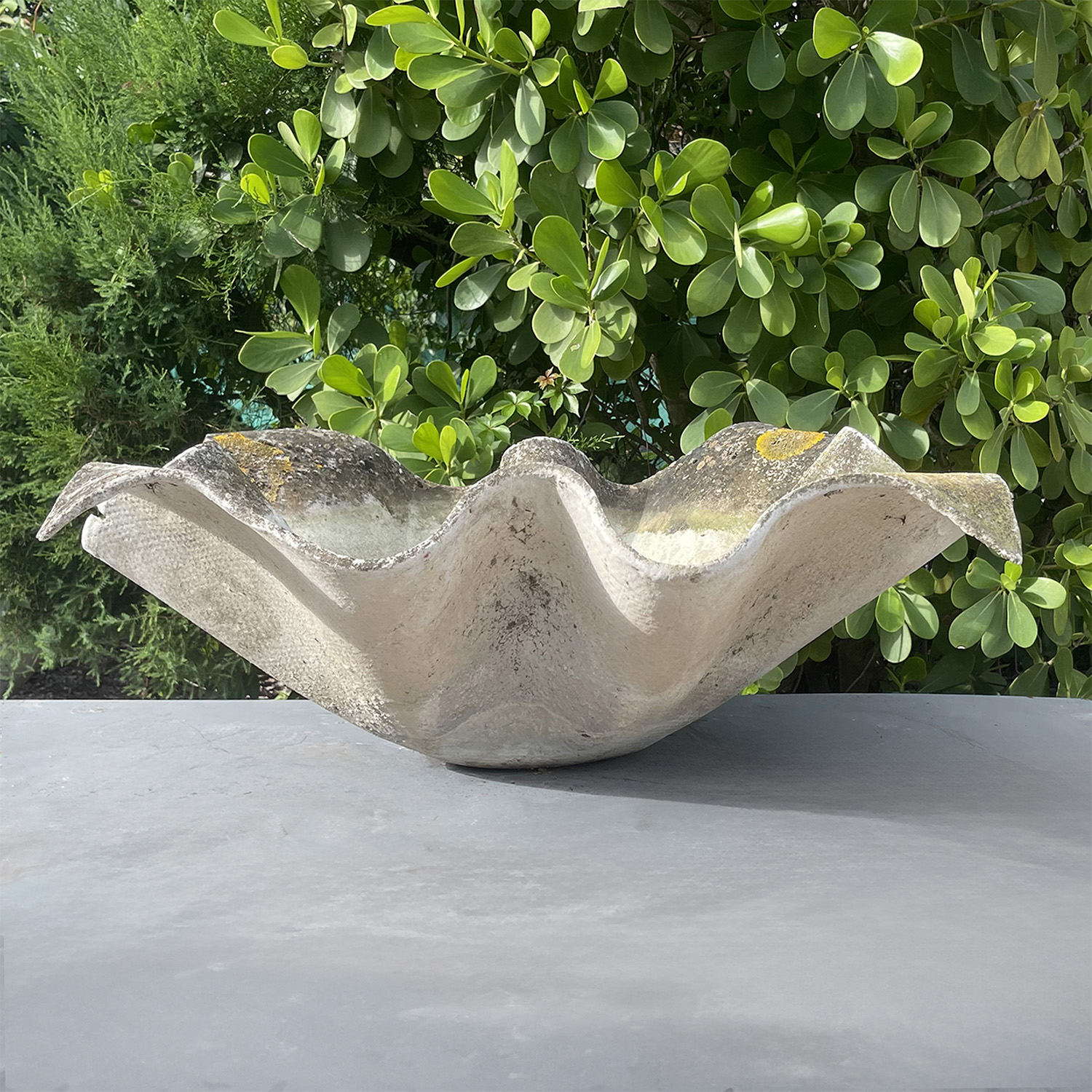 Cement Elephant Ear Garden Planter
