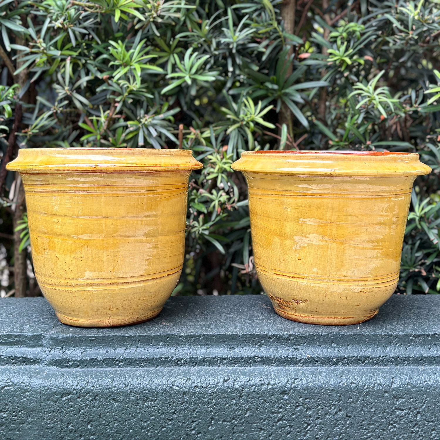 Small Pair of Honey Yellow Garden Planters from Provence