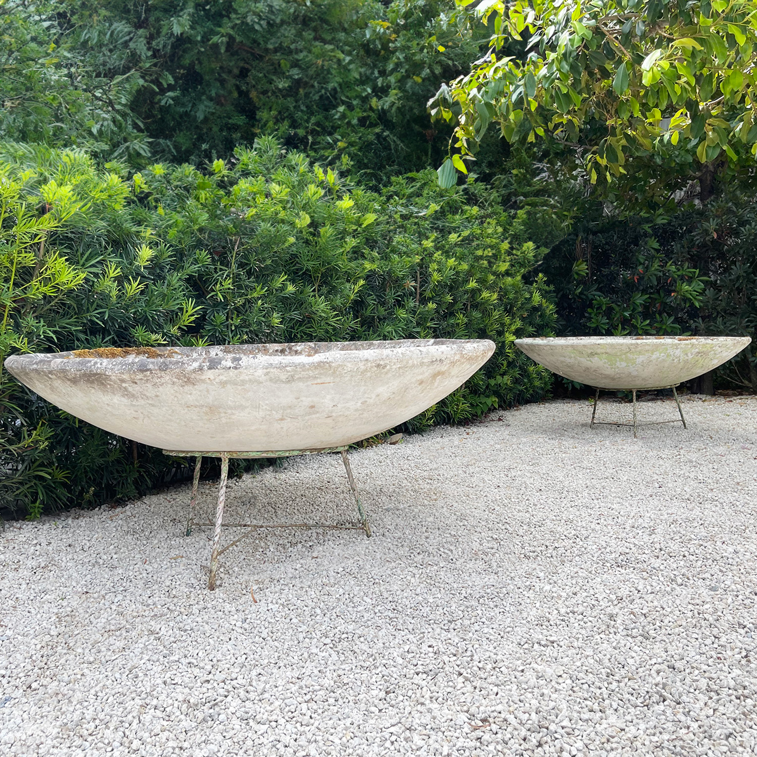  Pair of Vintage Saucer Cement Planters by Willy Guhl