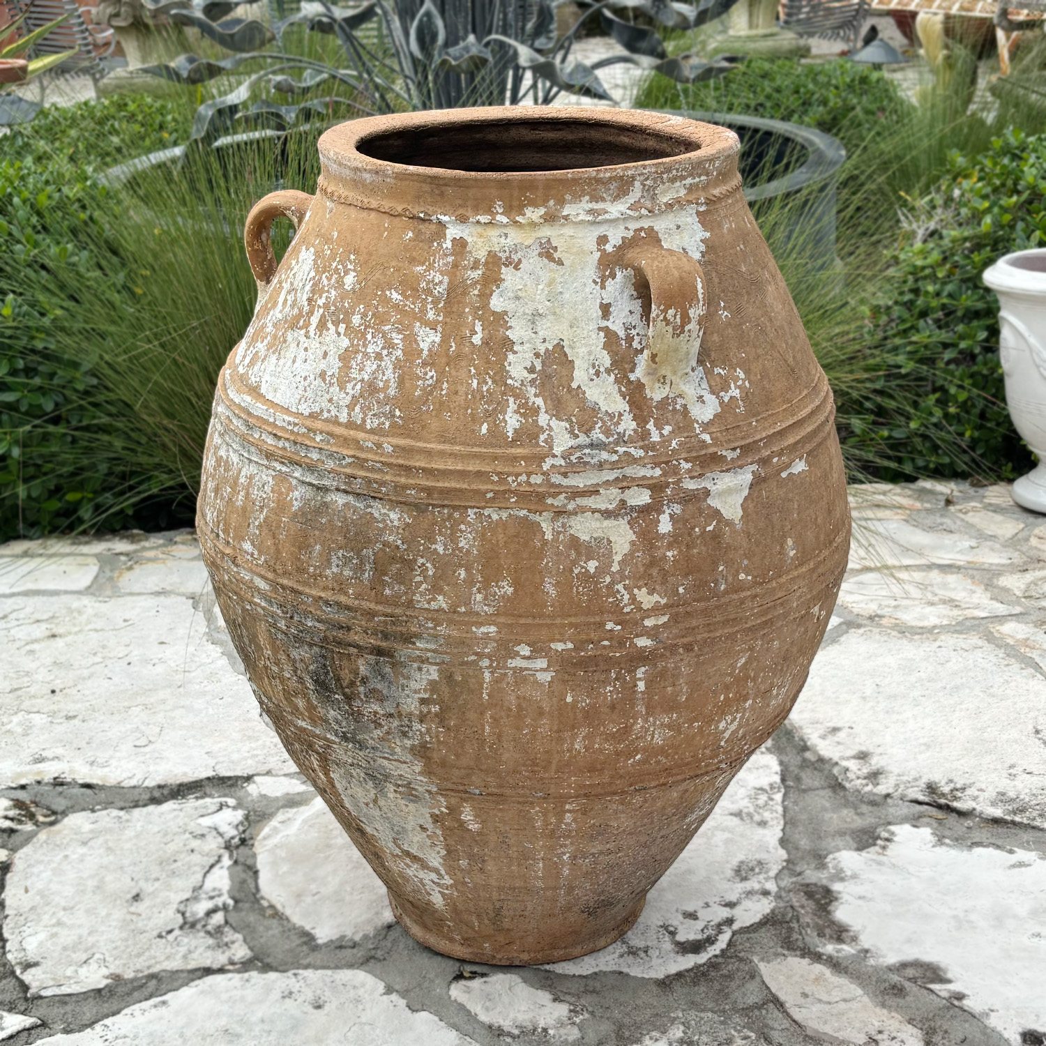 Authentic Provence