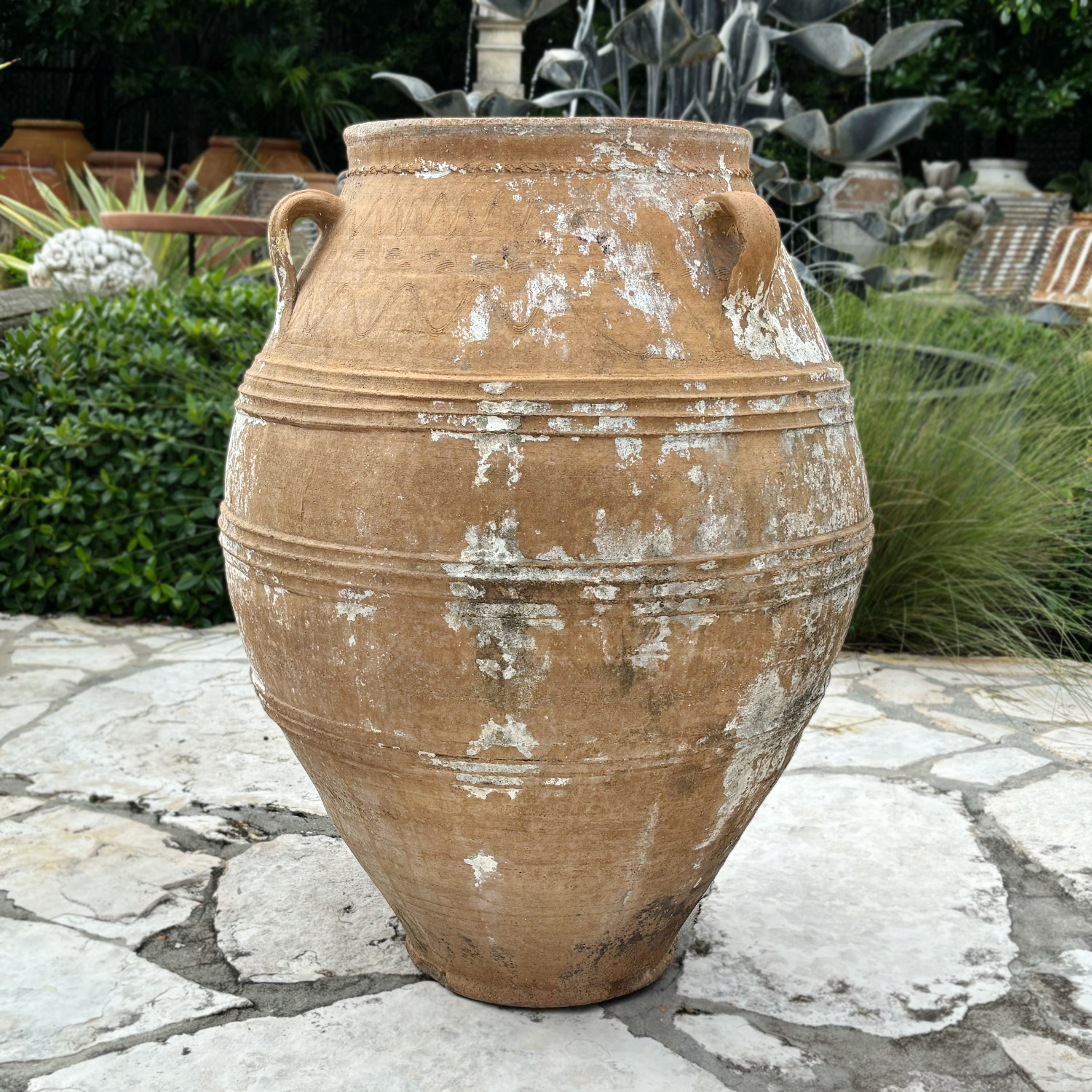 Authentic Provence