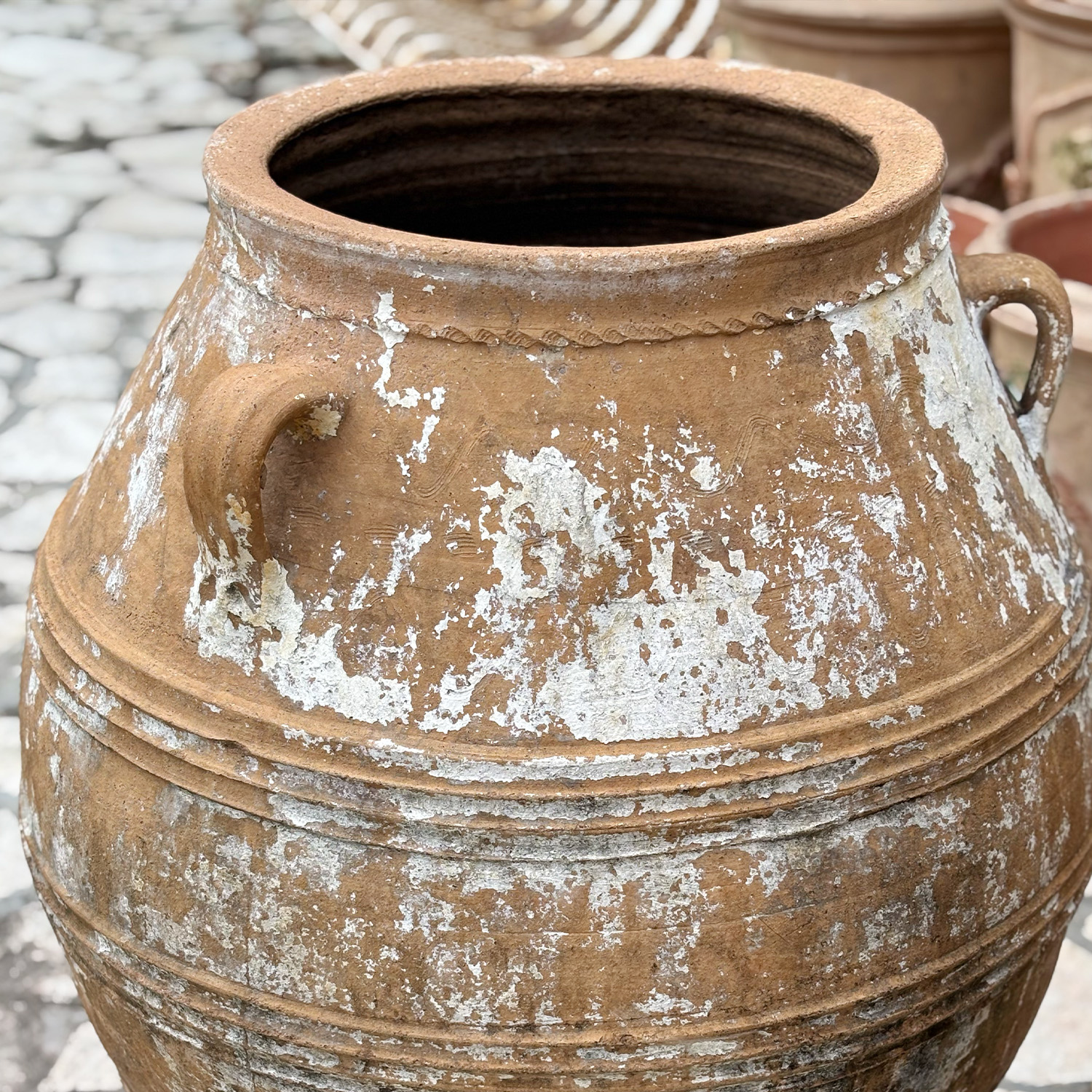 Authentic Provence