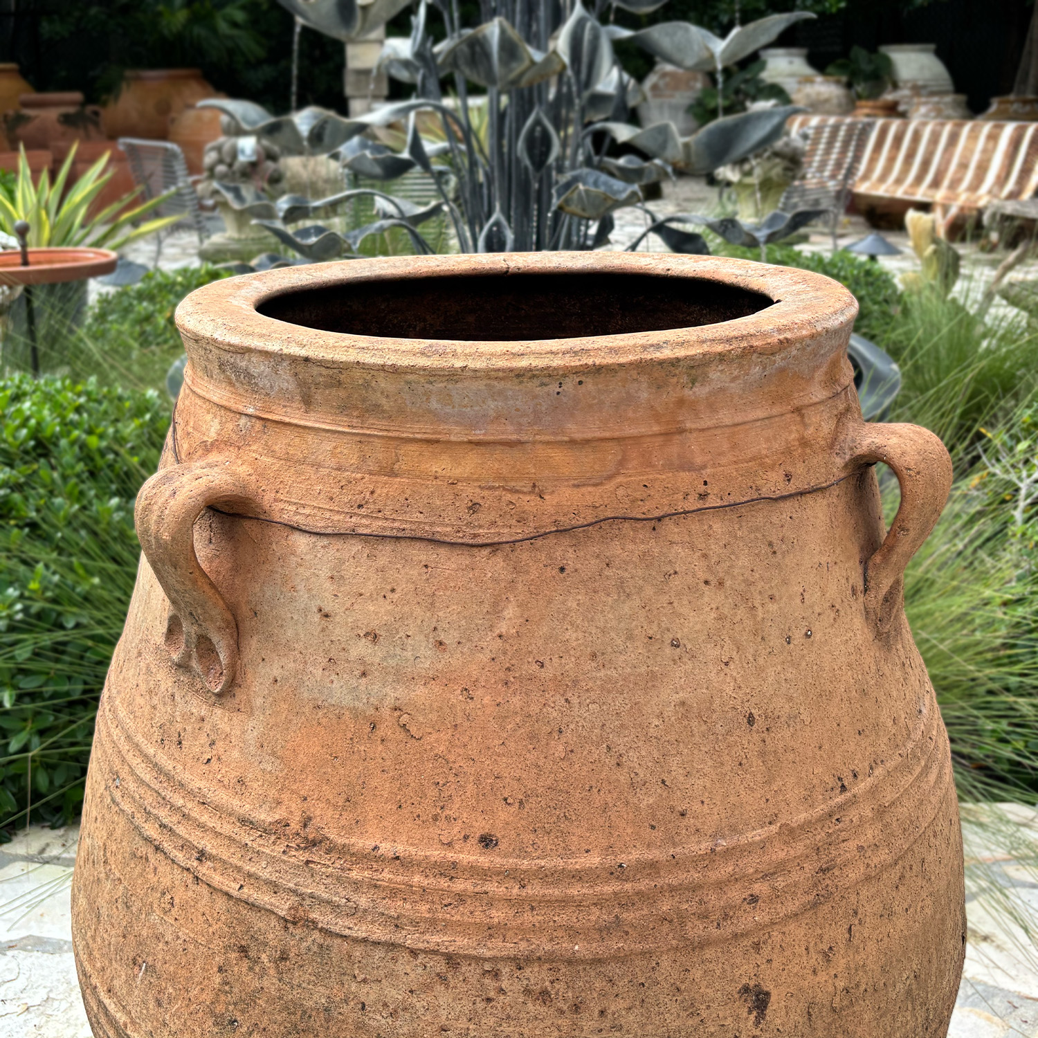 Authentic Provence