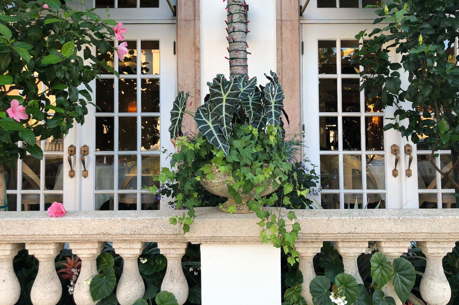 A Touch of Provence at Bice Palm Beach: Anduze Planters by Authentic Provence
