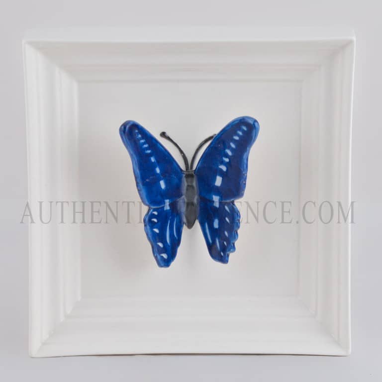 Papillon Long Bleu