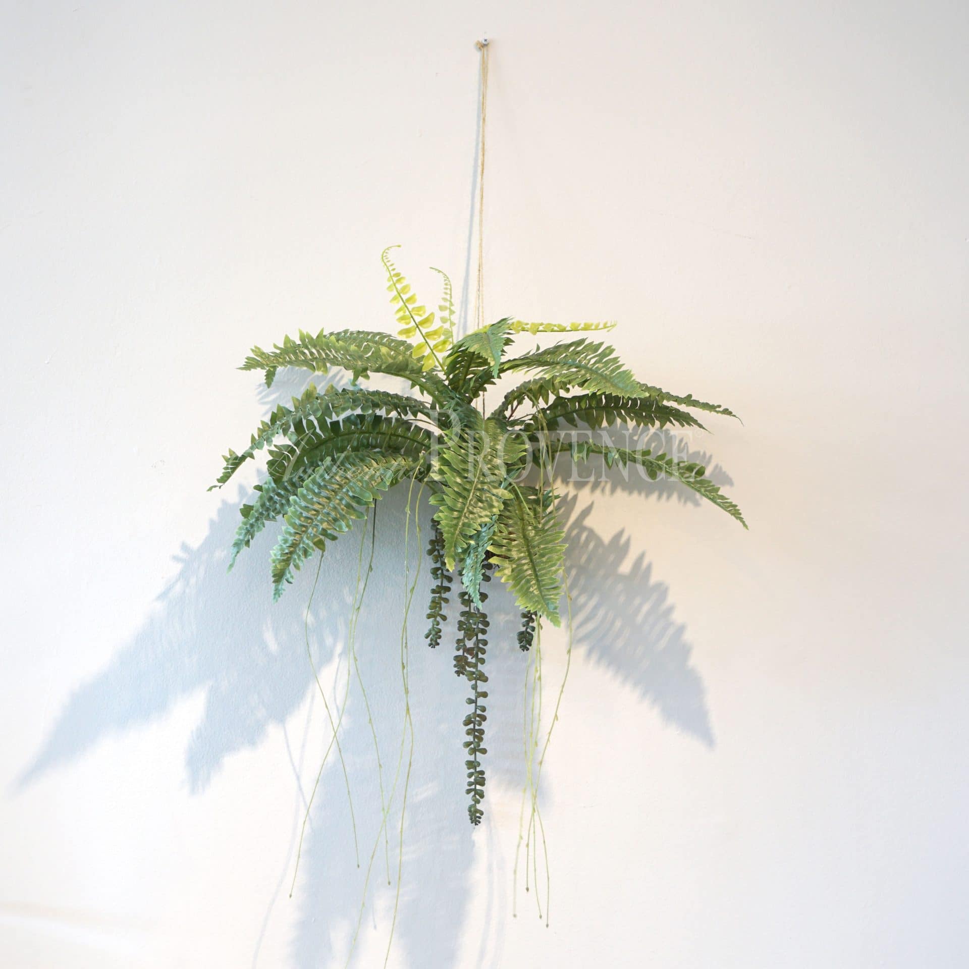 Small Hanging Fern