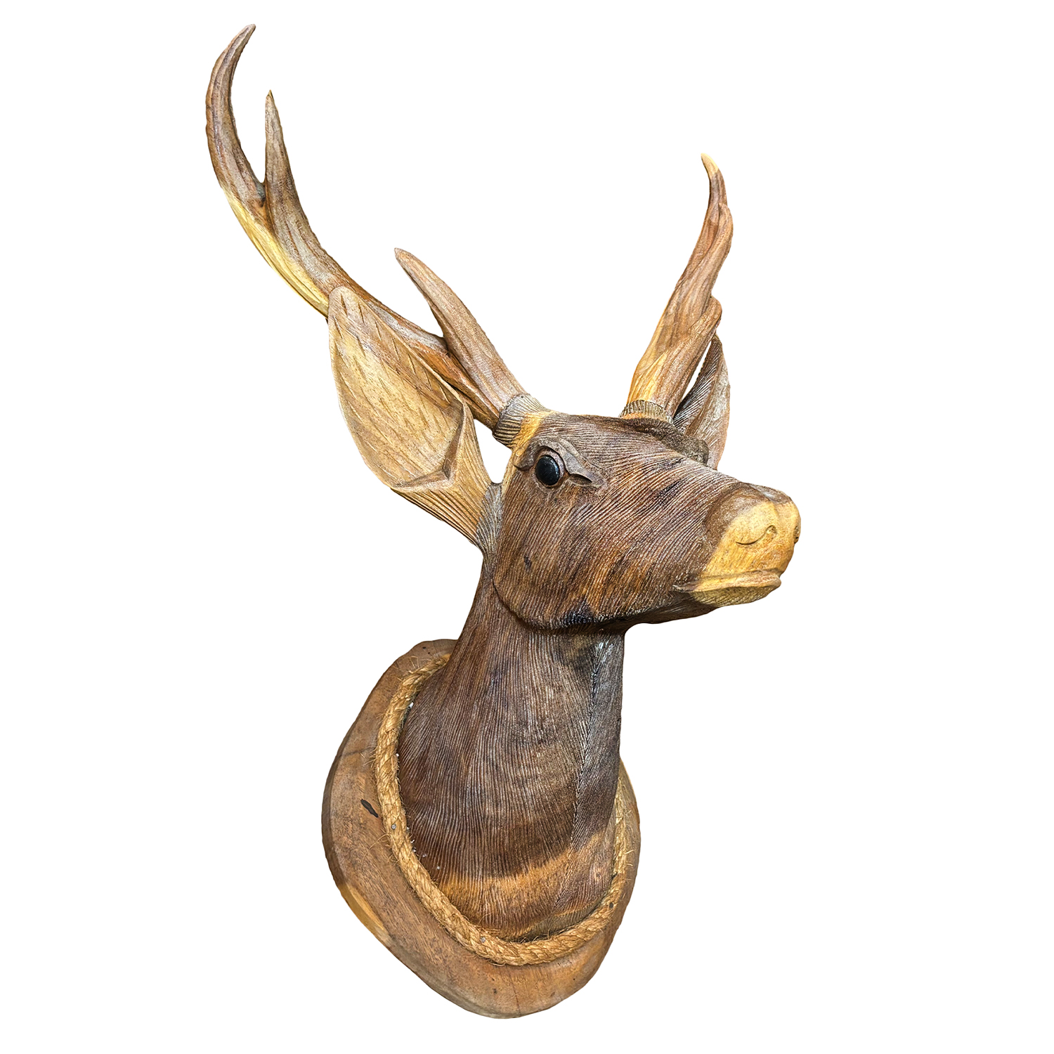 Deer Bust
