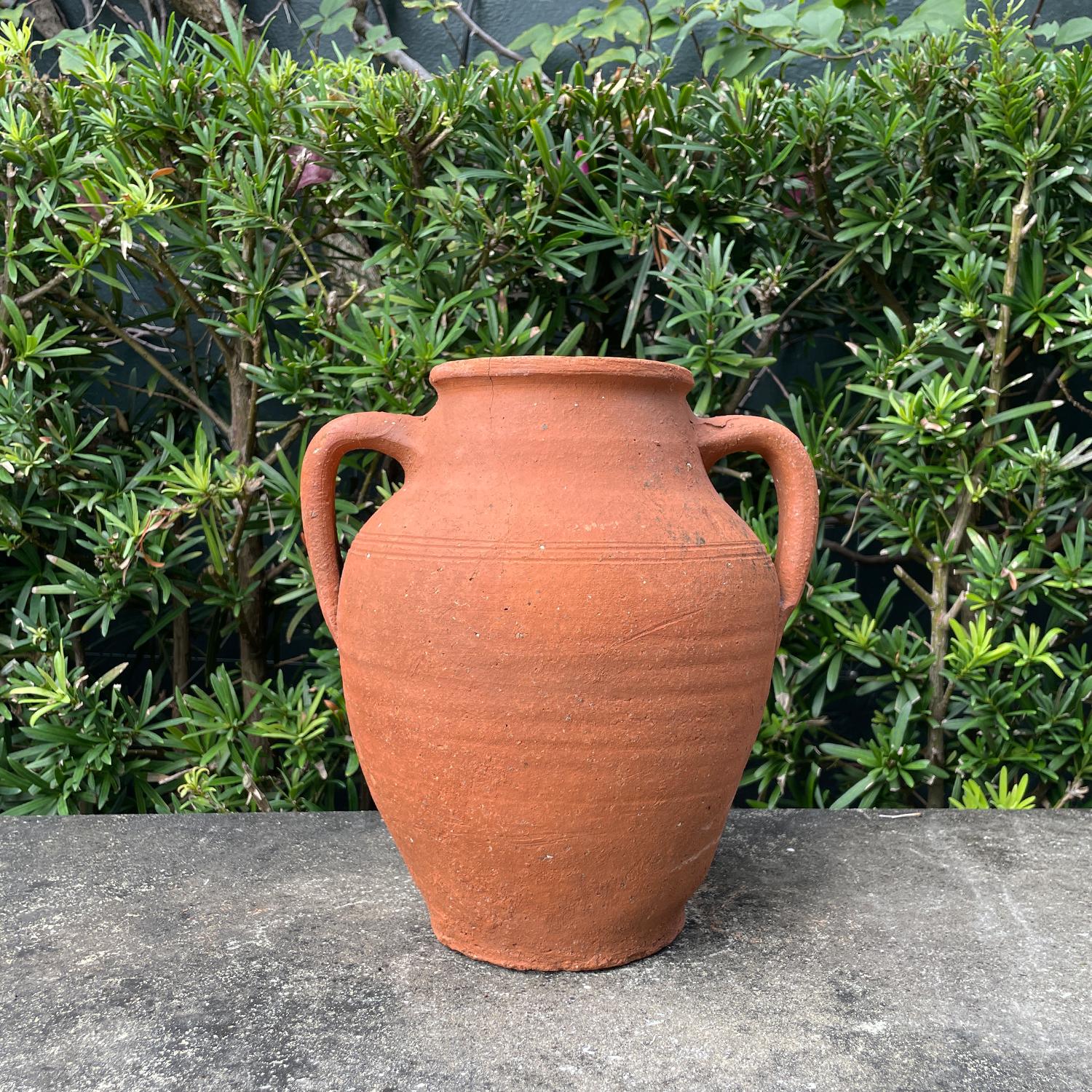 Rustic Mediterranean Terracotta Jar