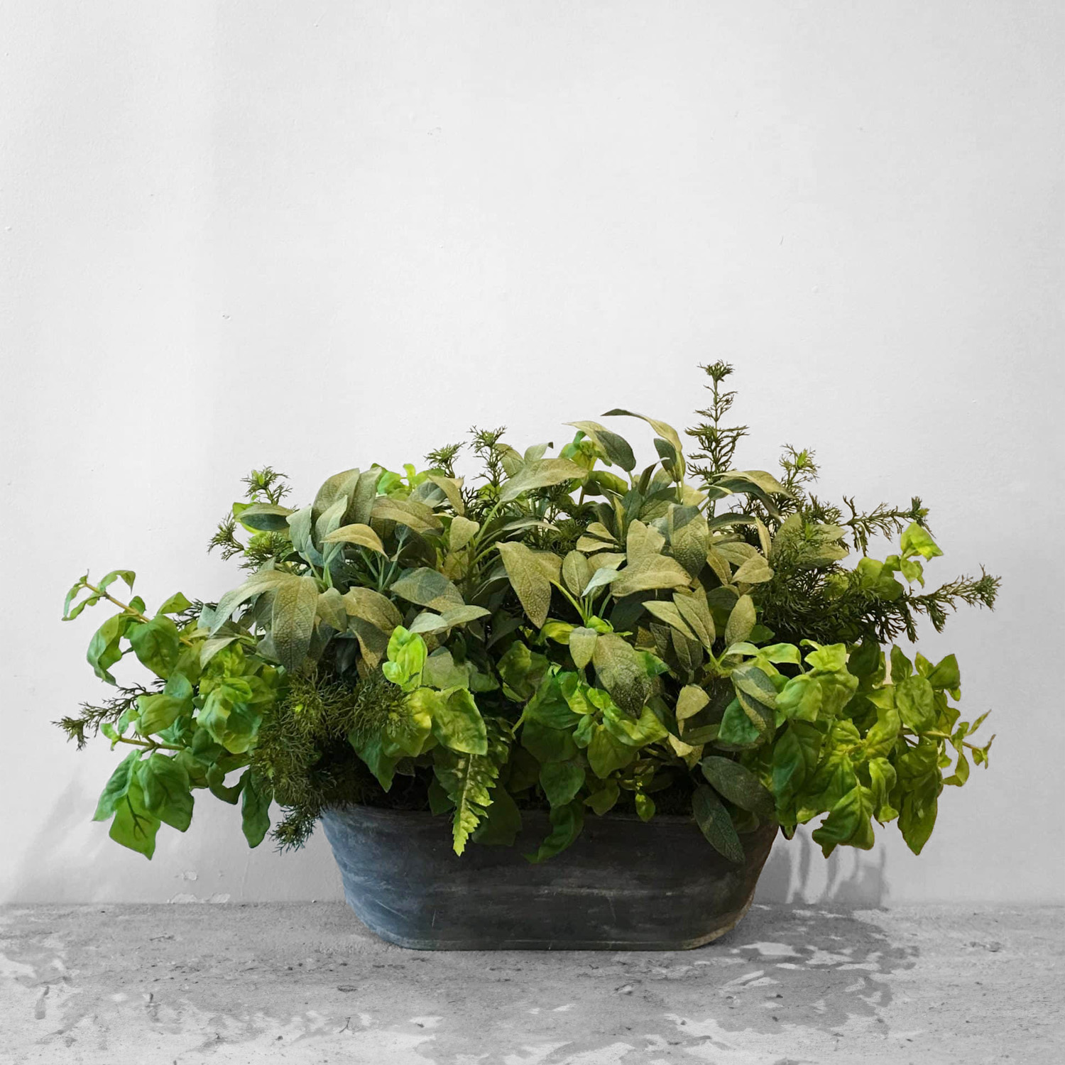 Mixed Herb Bush With Lavender