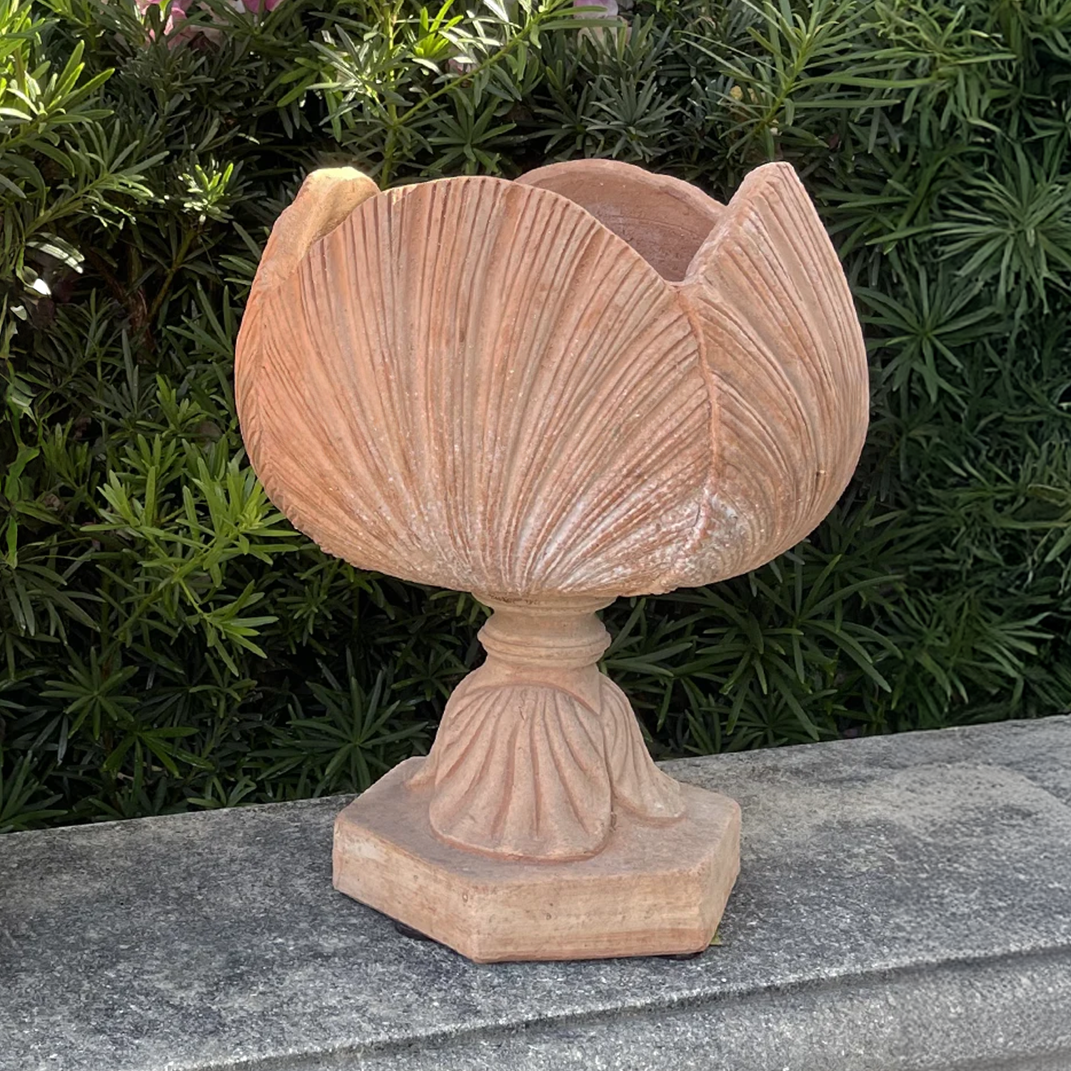 Terra Cotta Planter Monticchiello