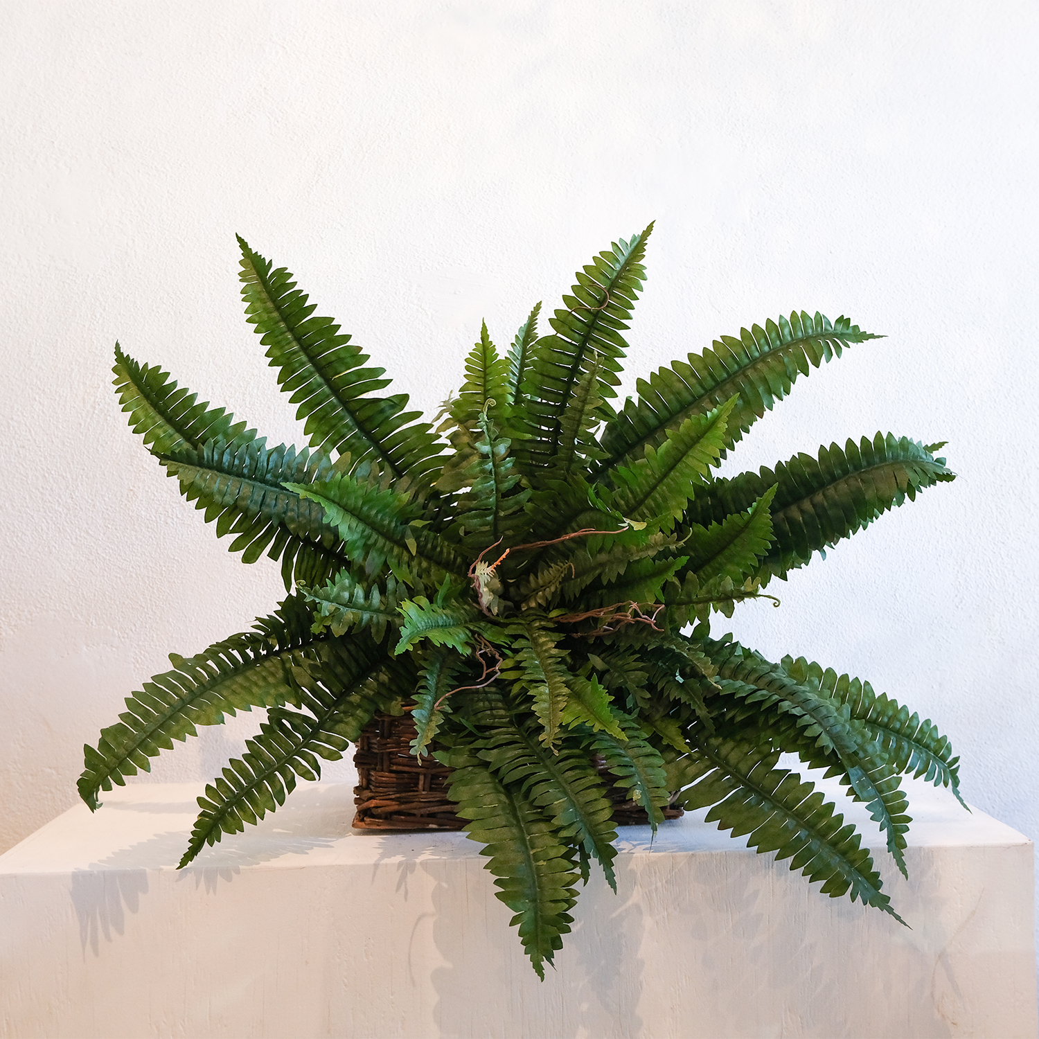 Faux Fern Bush Medium