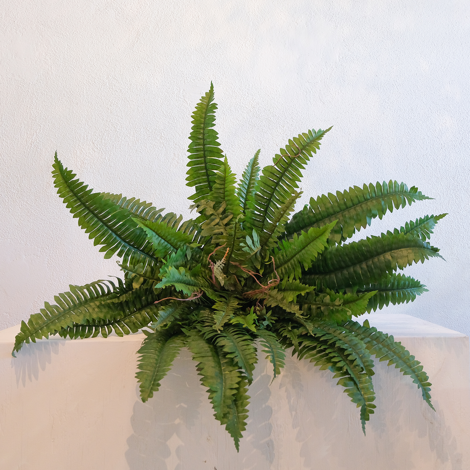 Faux Large Fern