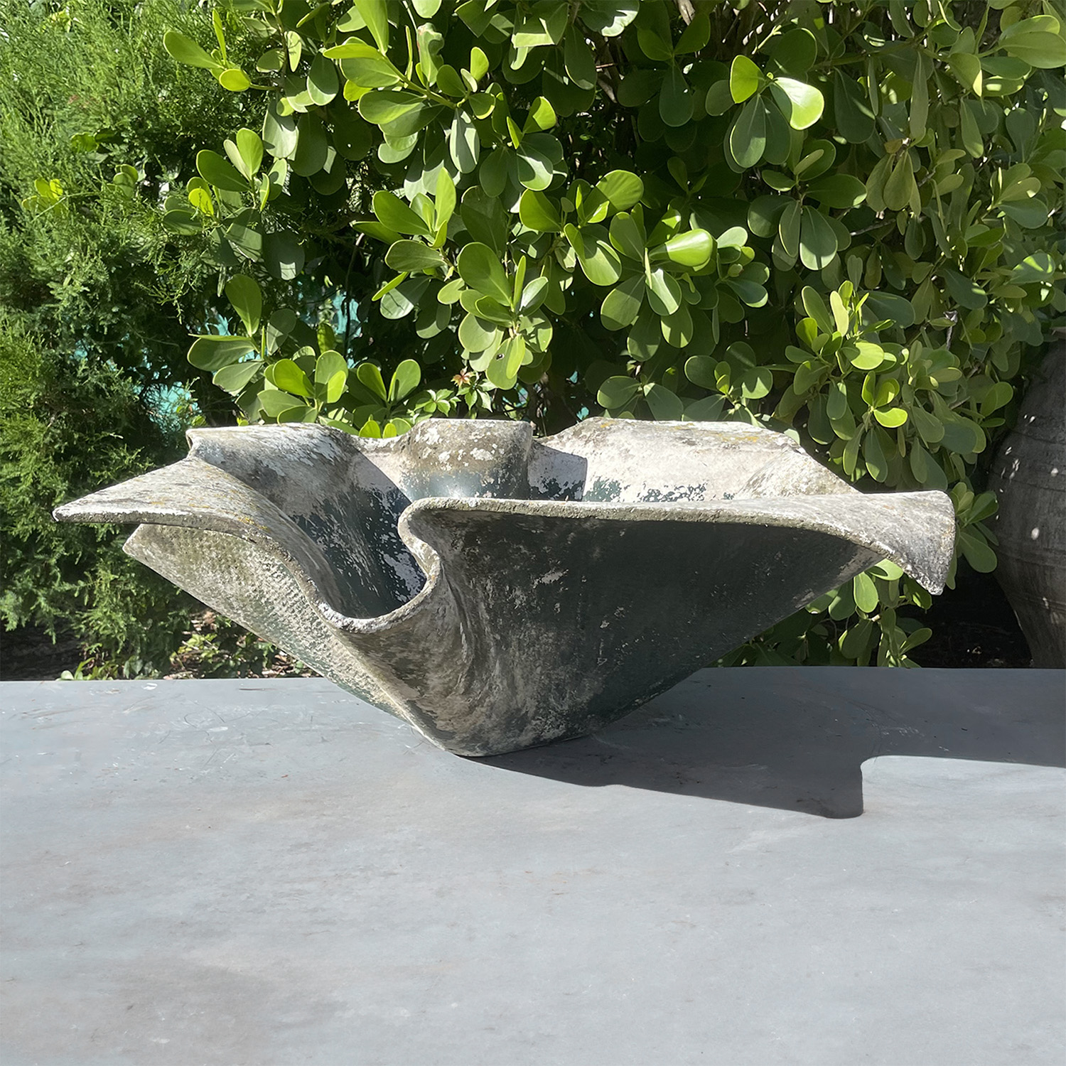 20th Century Swiss Vintage Cement Elephant Ear Garden Planter by Willy Guhl