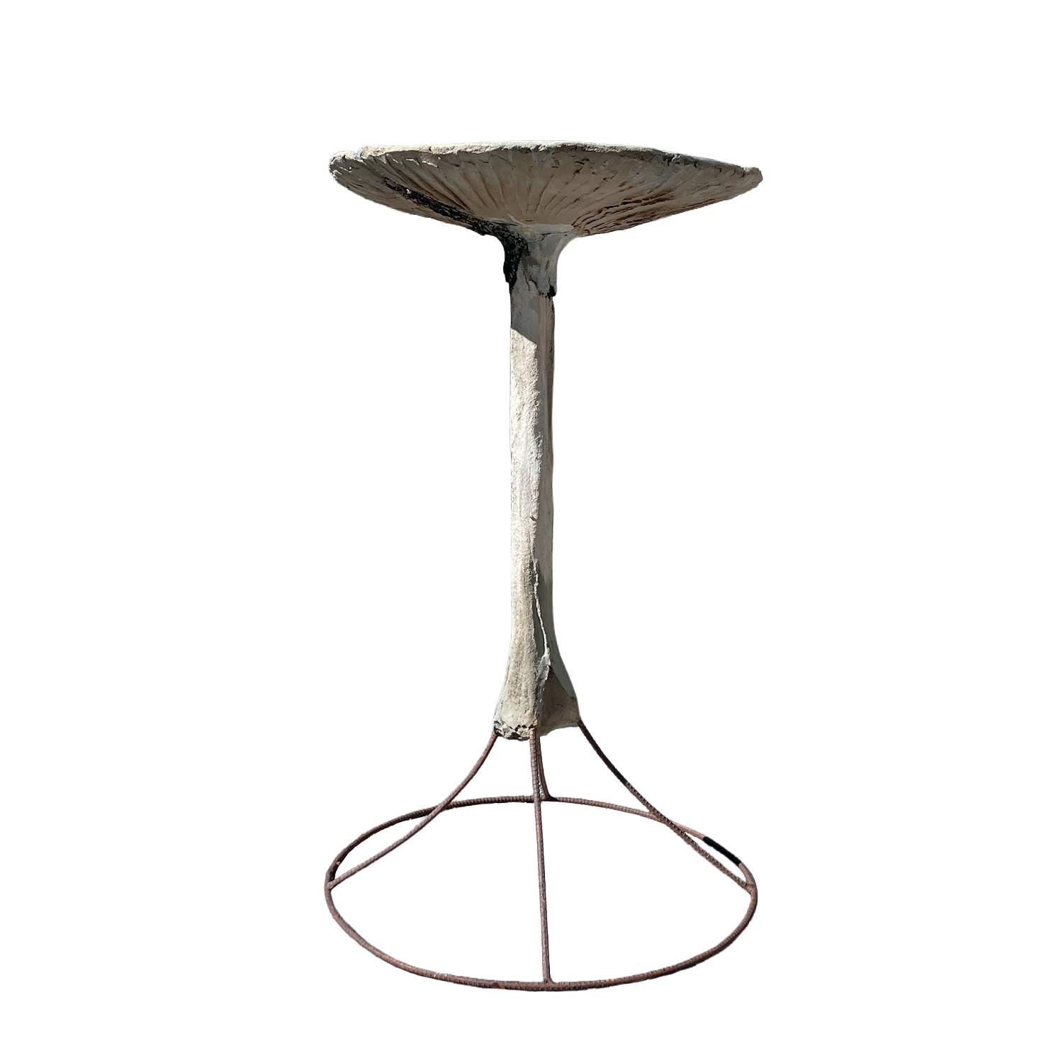 French Faux Bois Garden Bird Bath