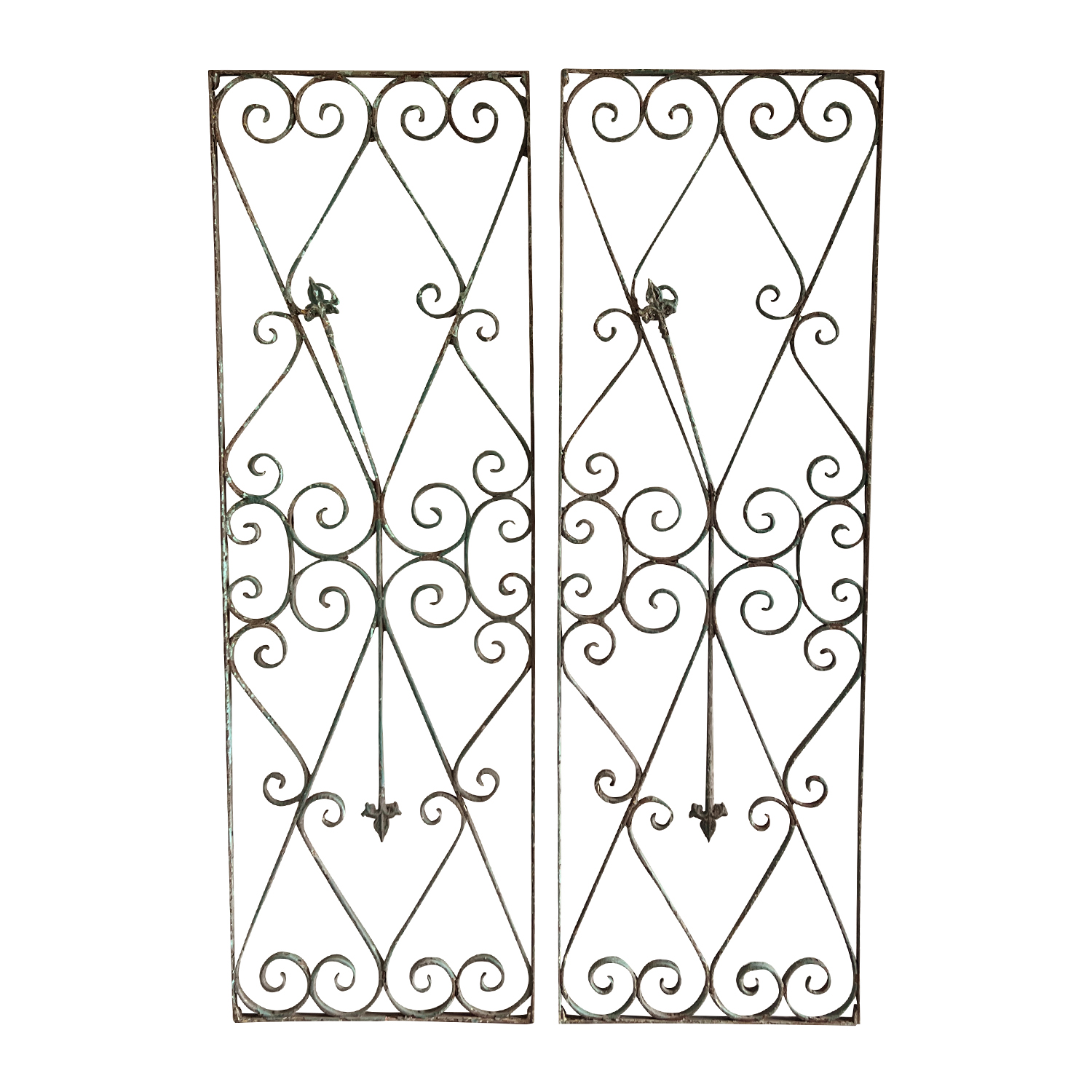 Pair of Antique French Gates